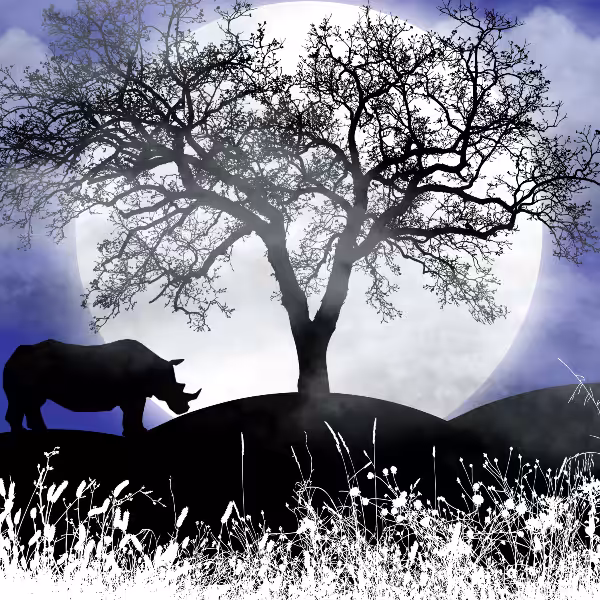 Moon and Life #25