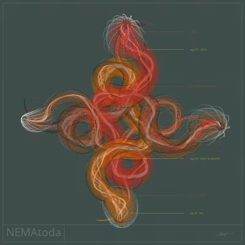 NEMA #53