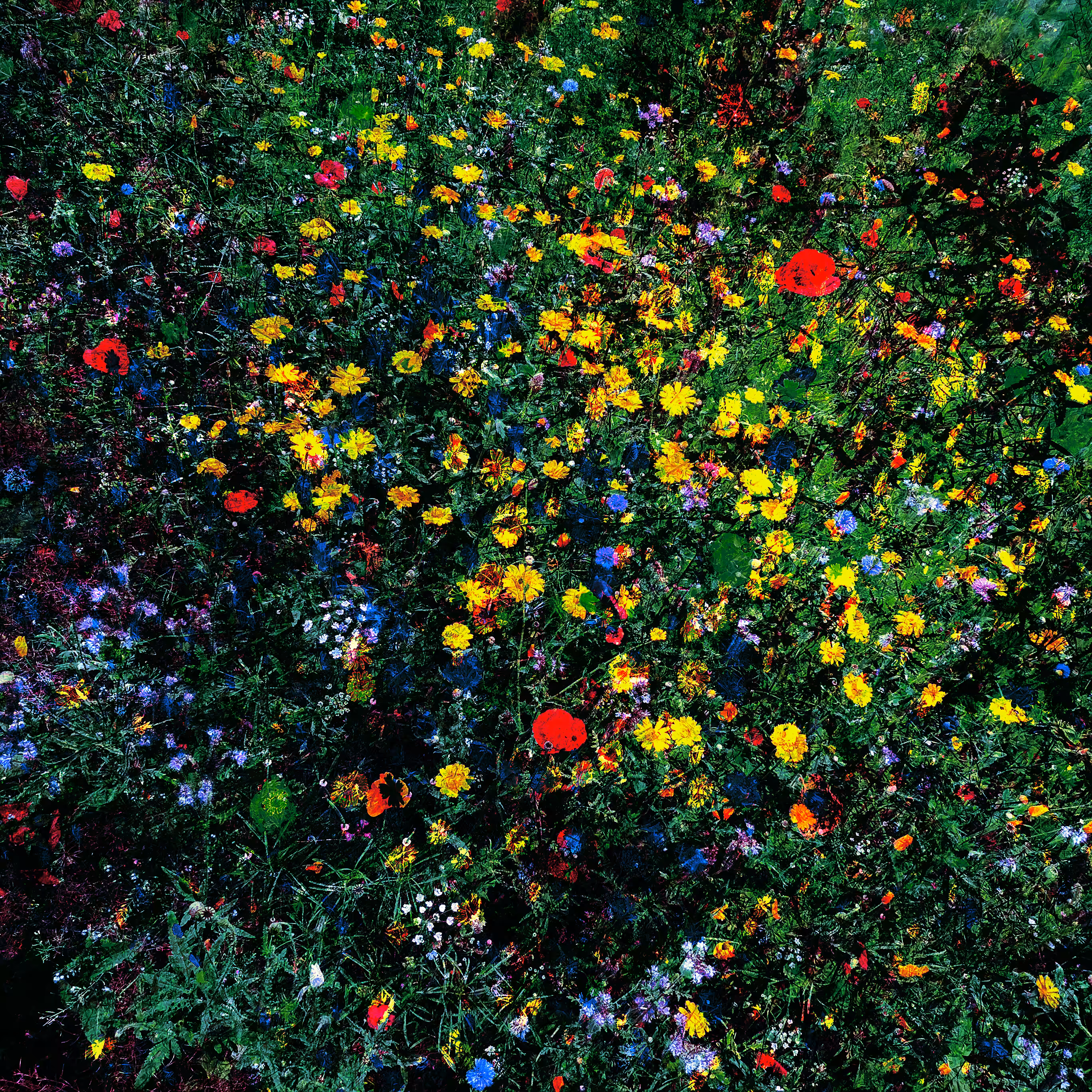 Flower Madness