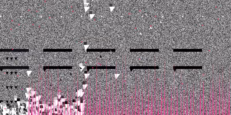 Synesthesia4
