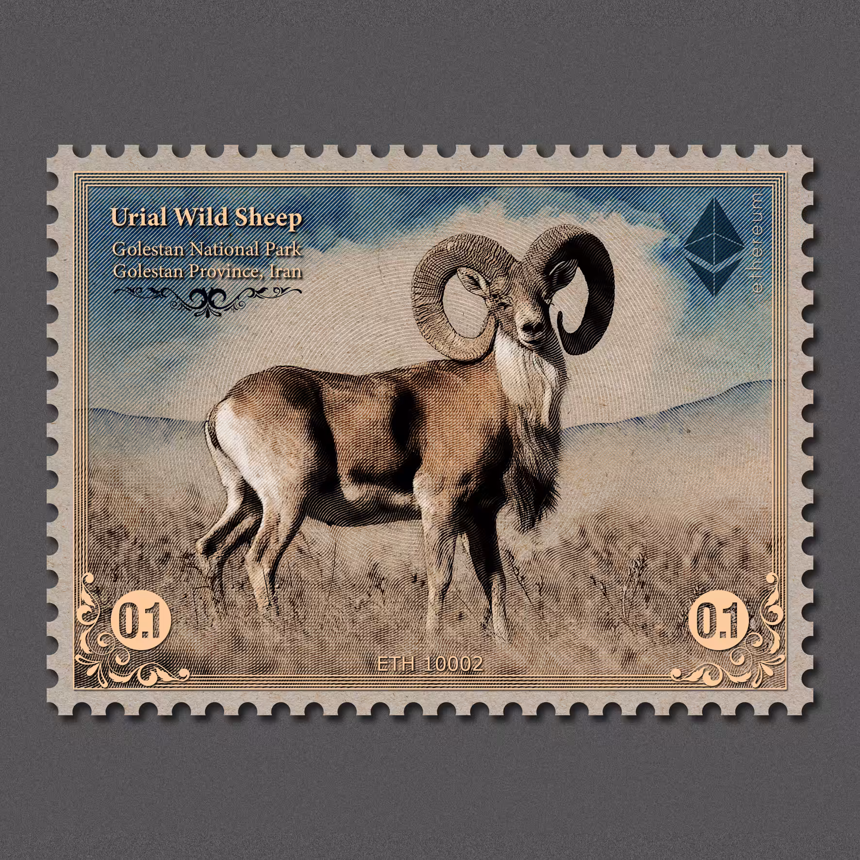 Urial Wild Sheep
