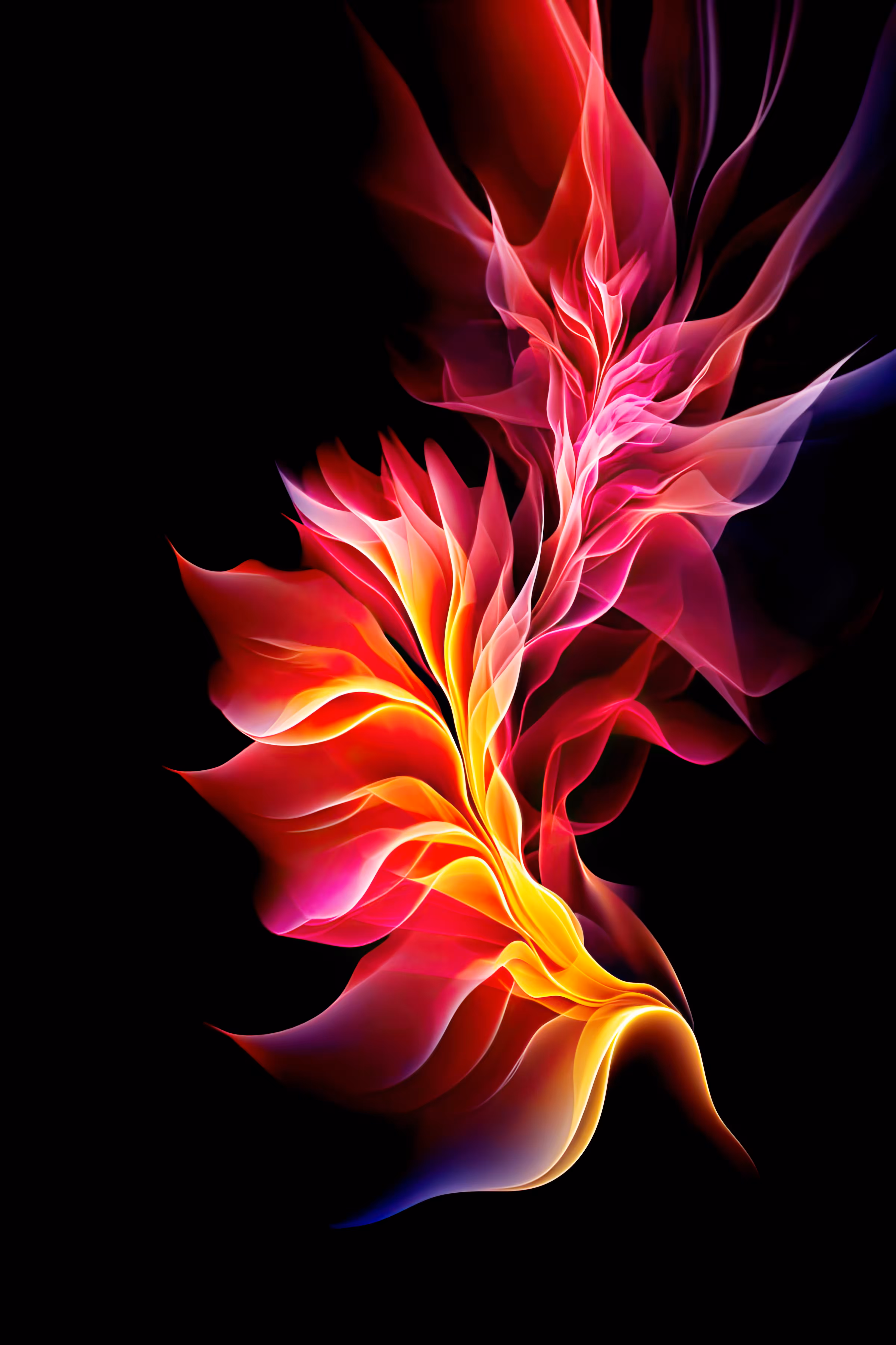 Skeleton Of A Flower