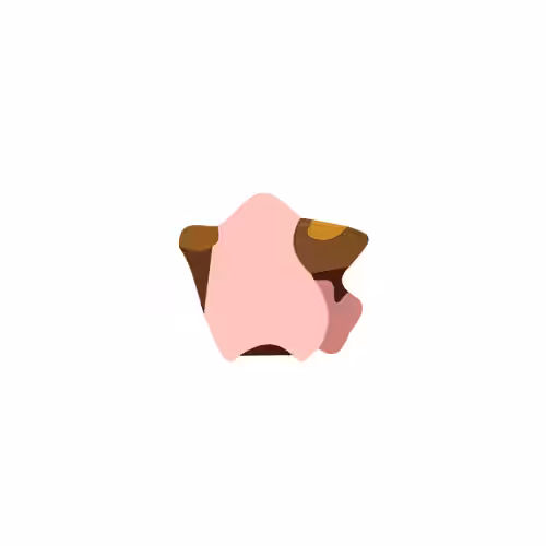 Cleffa #173