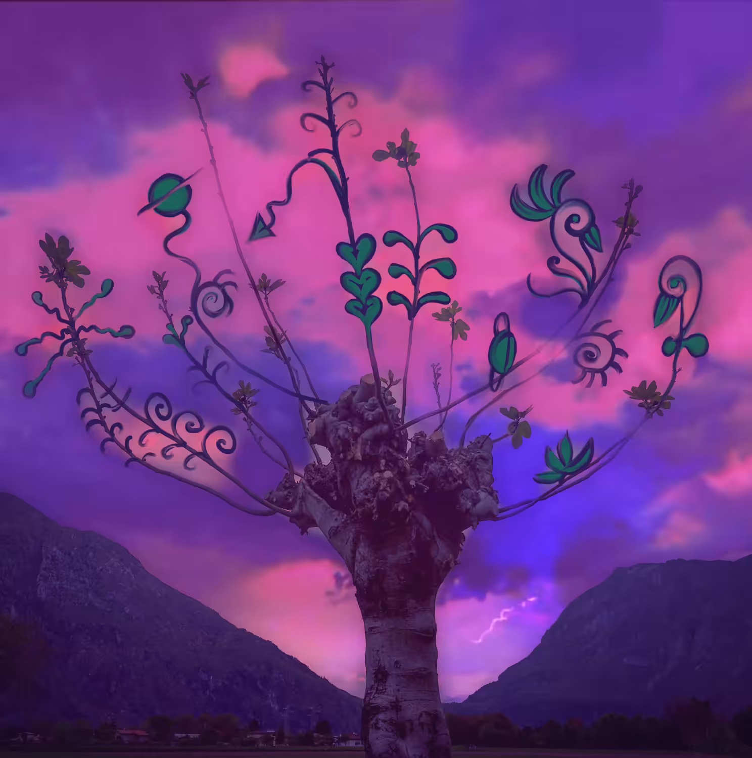 Tree #1