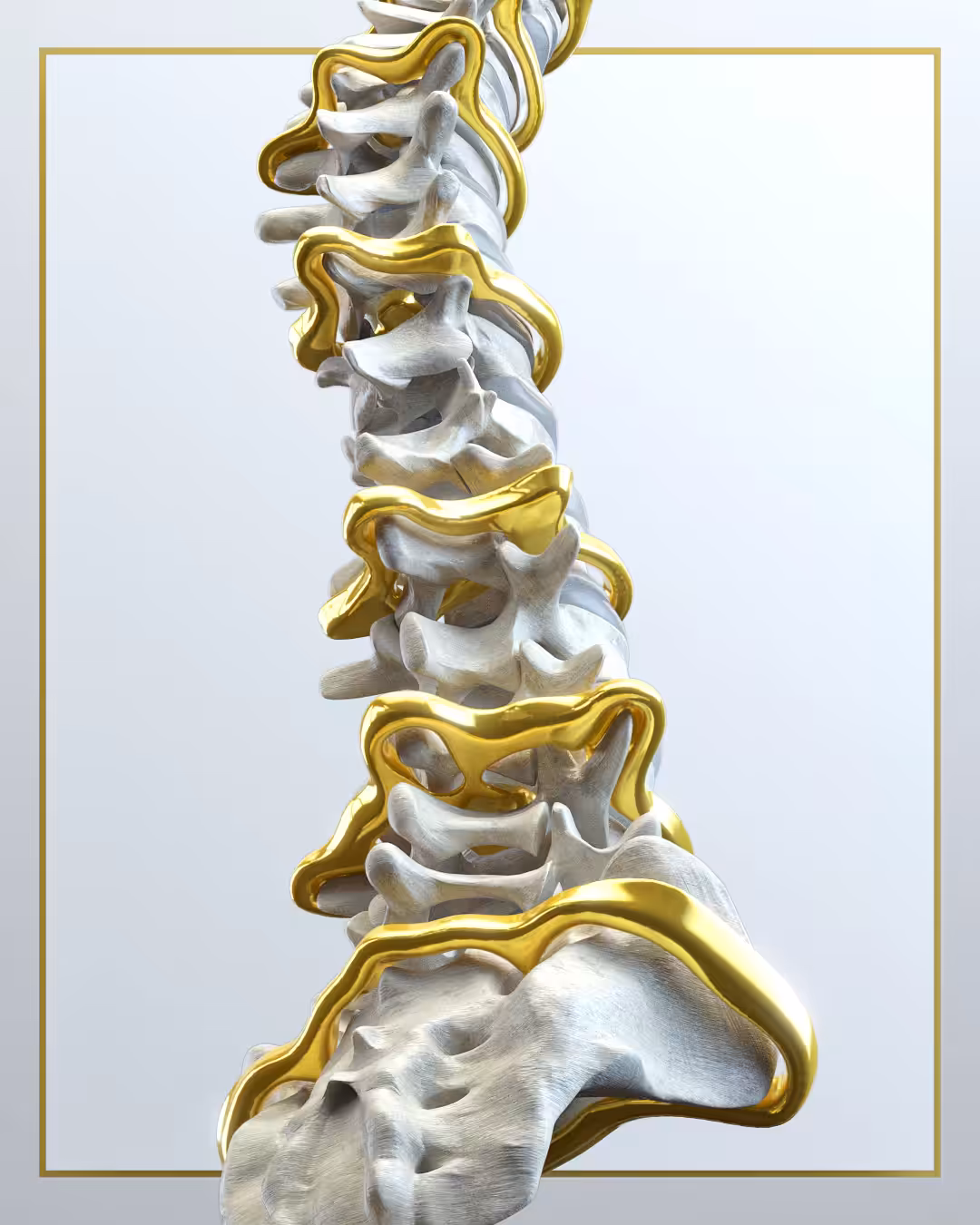 The Golden Spine