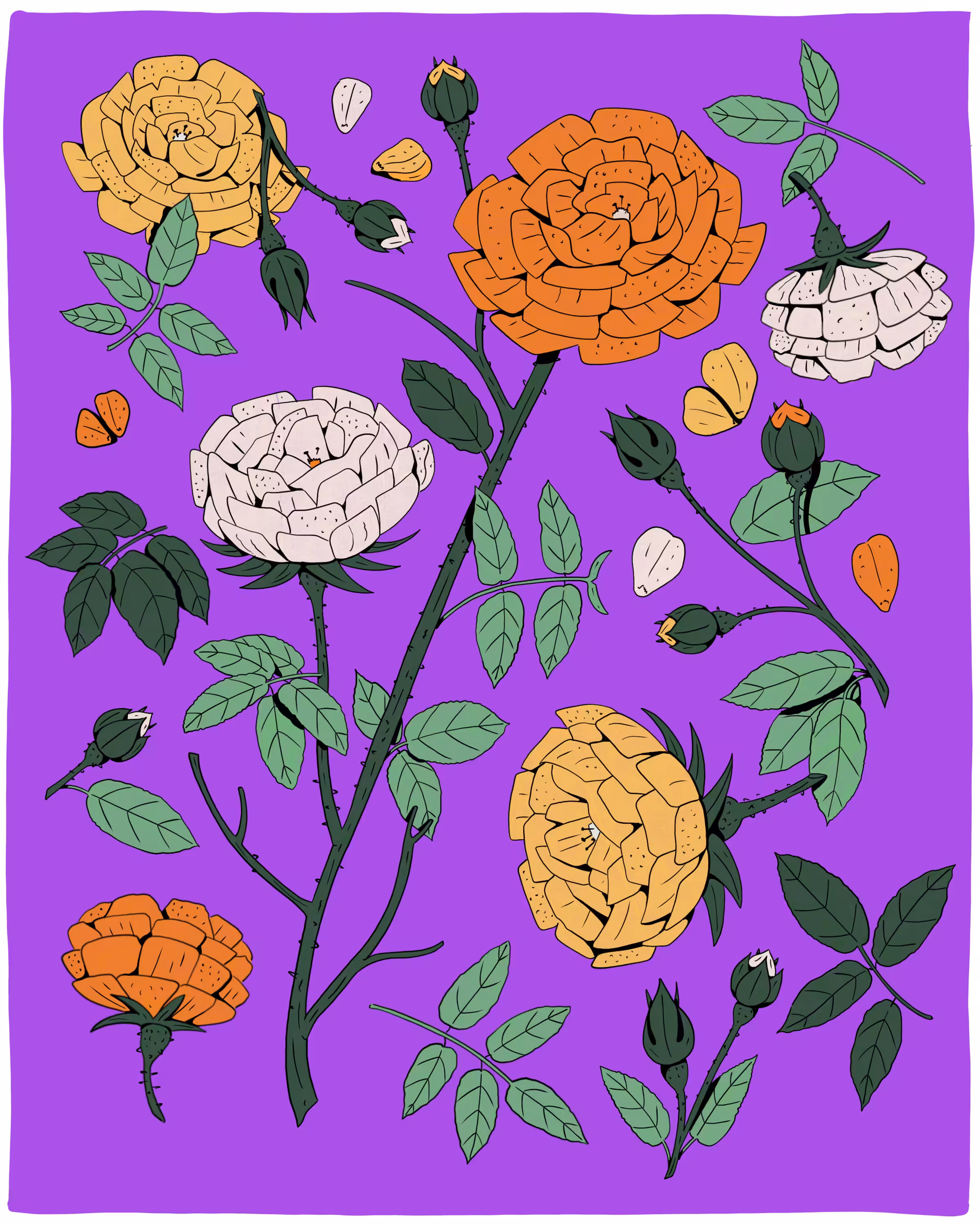Rosa Gallica / The Ultimate Book of Plants and Gardens