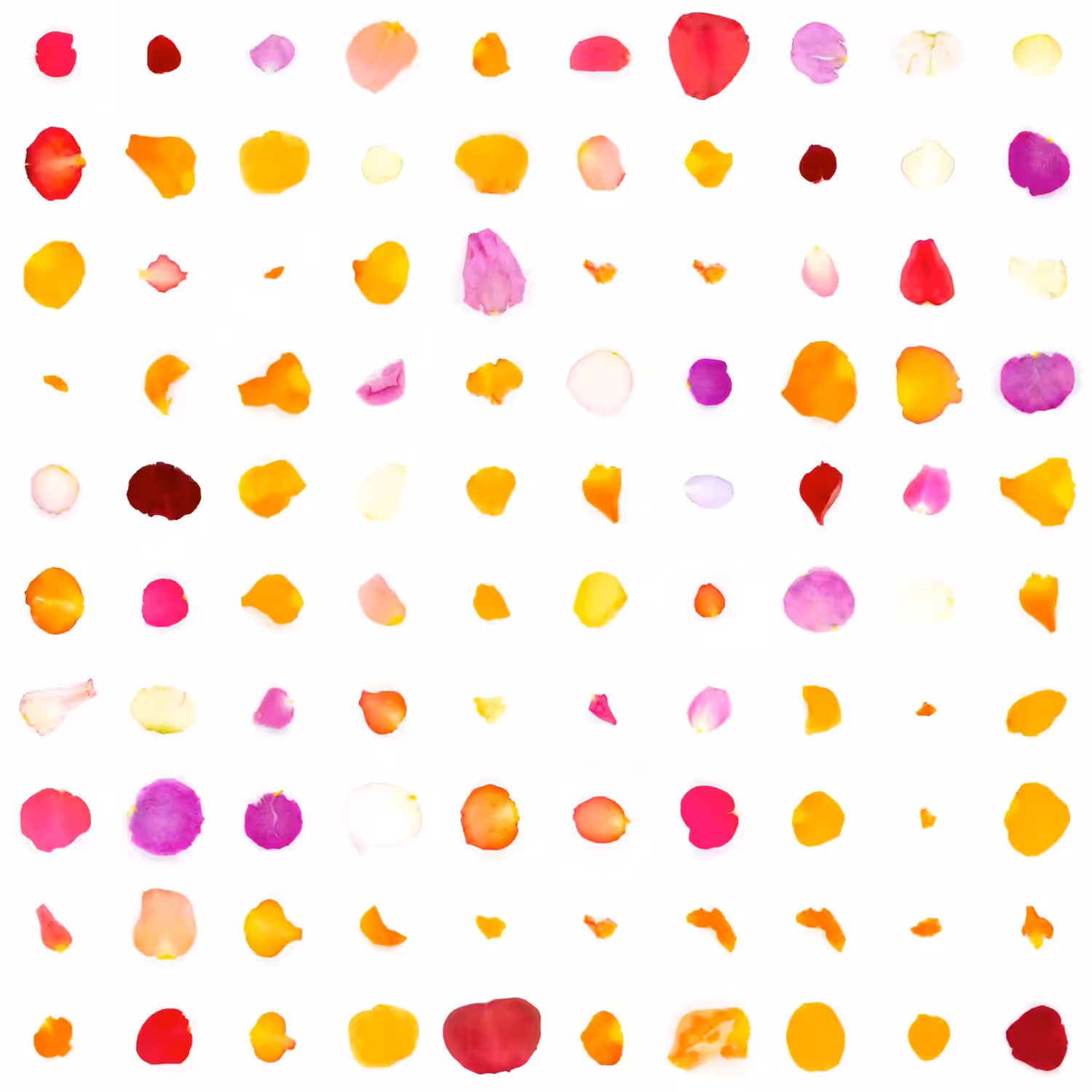 Infinite Petals 10x10#621064