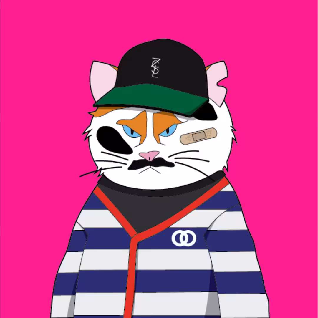 Fashionista: MAD Stray Cat