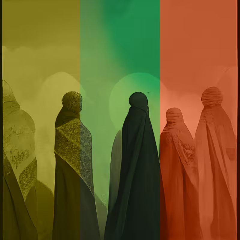Mandatory hijab #8