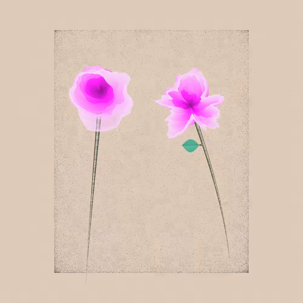Magnolia #36
