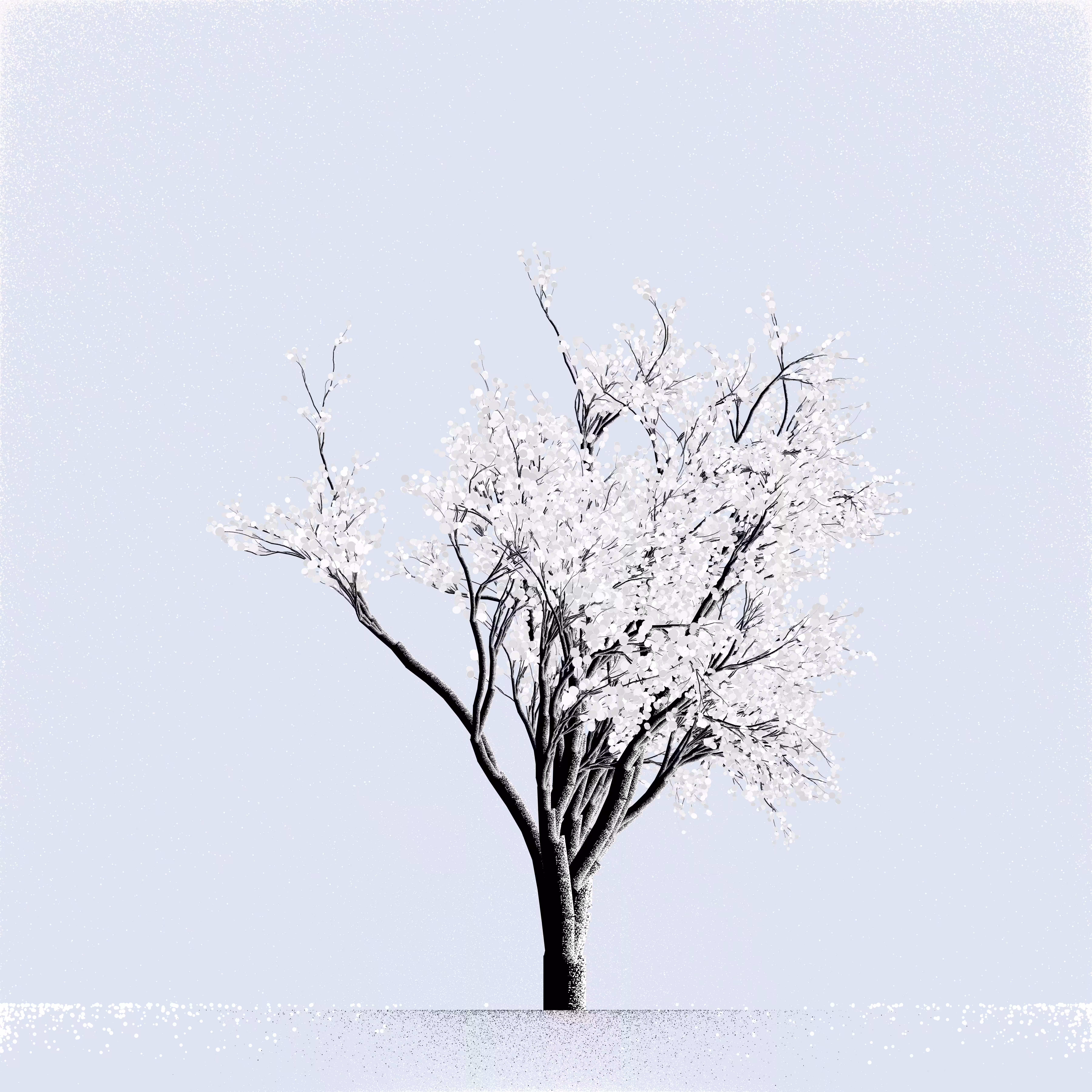 Snow Tree #8