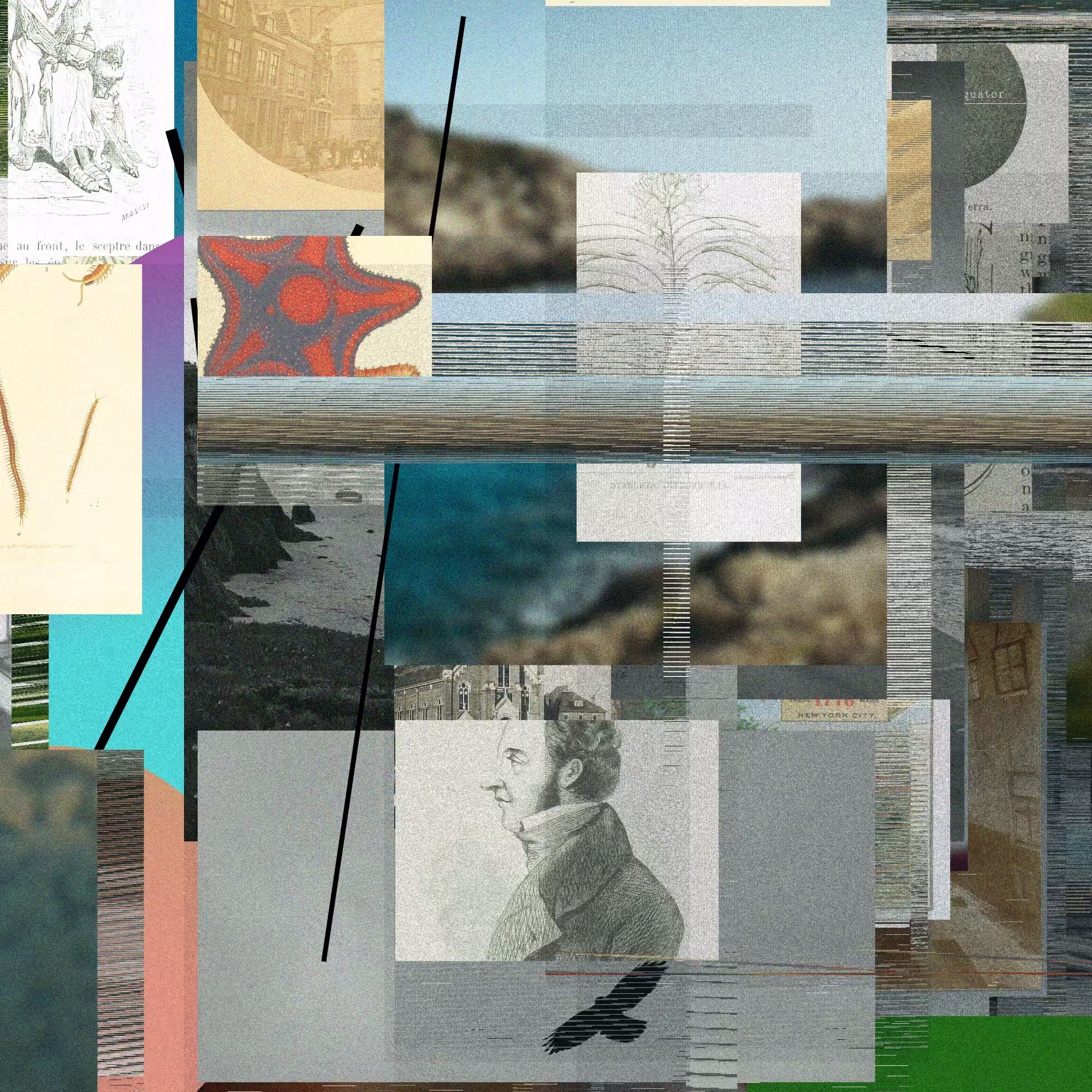 Unconscious Collages #565