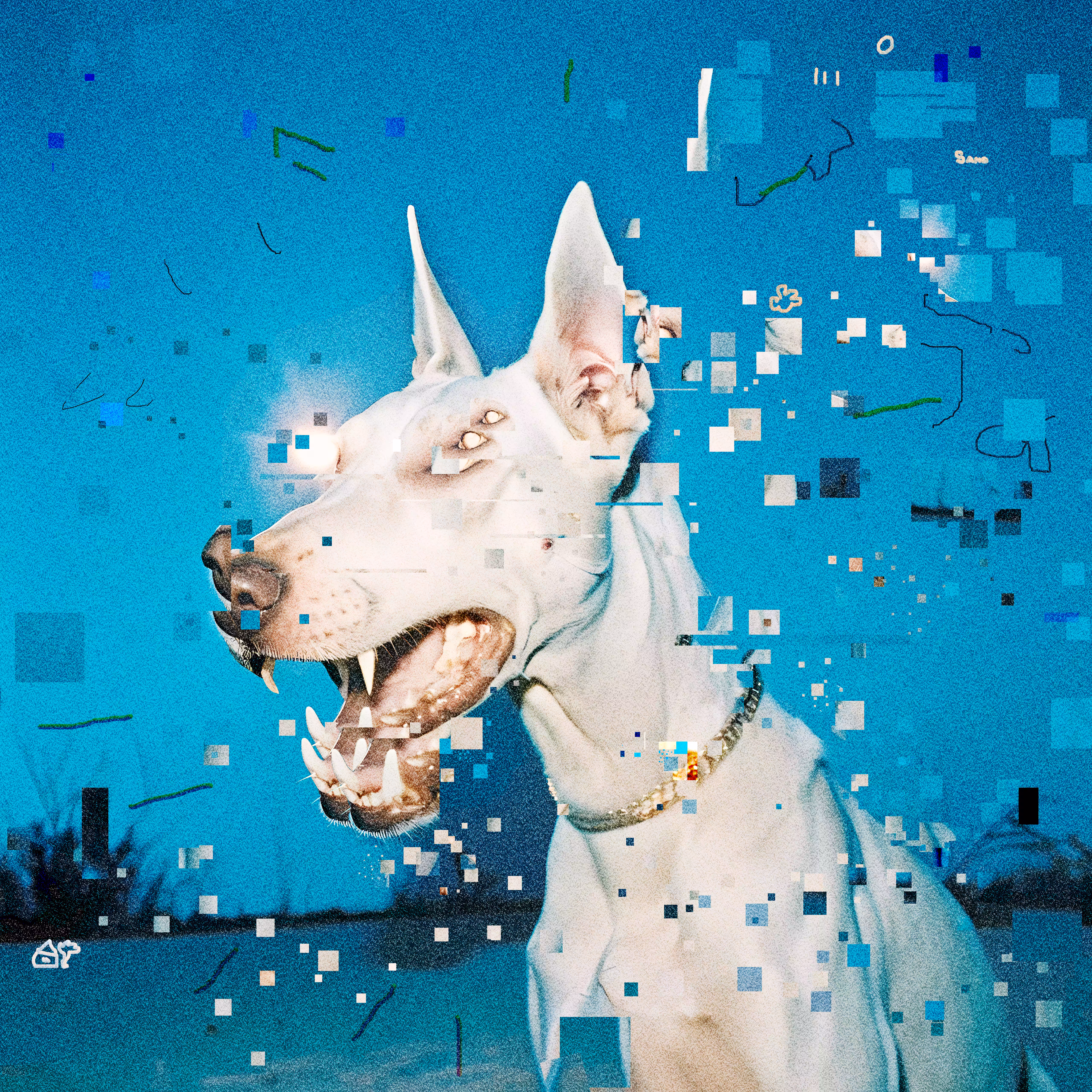 stray dog