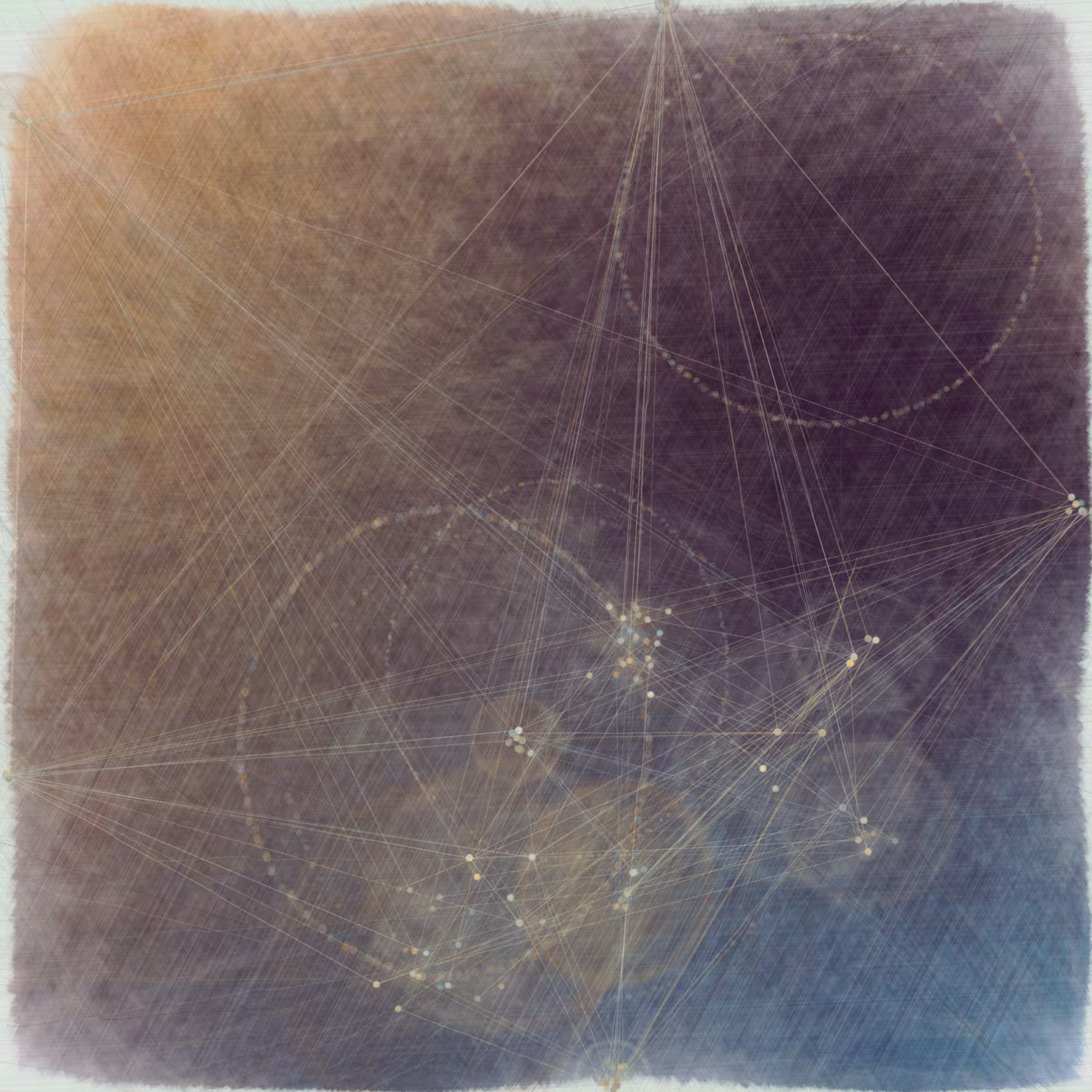 Reticulum