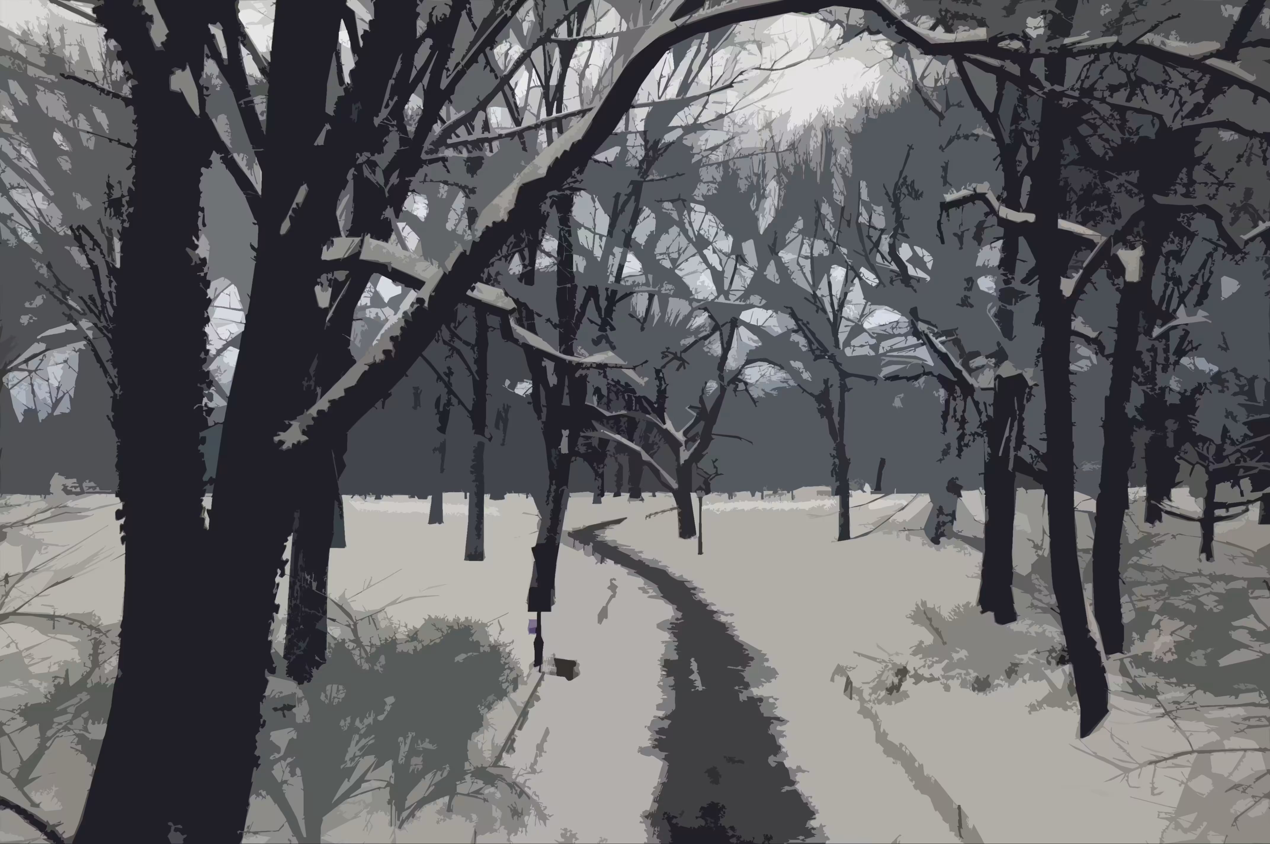 WALK IN THE PARK - WINTER, 2013