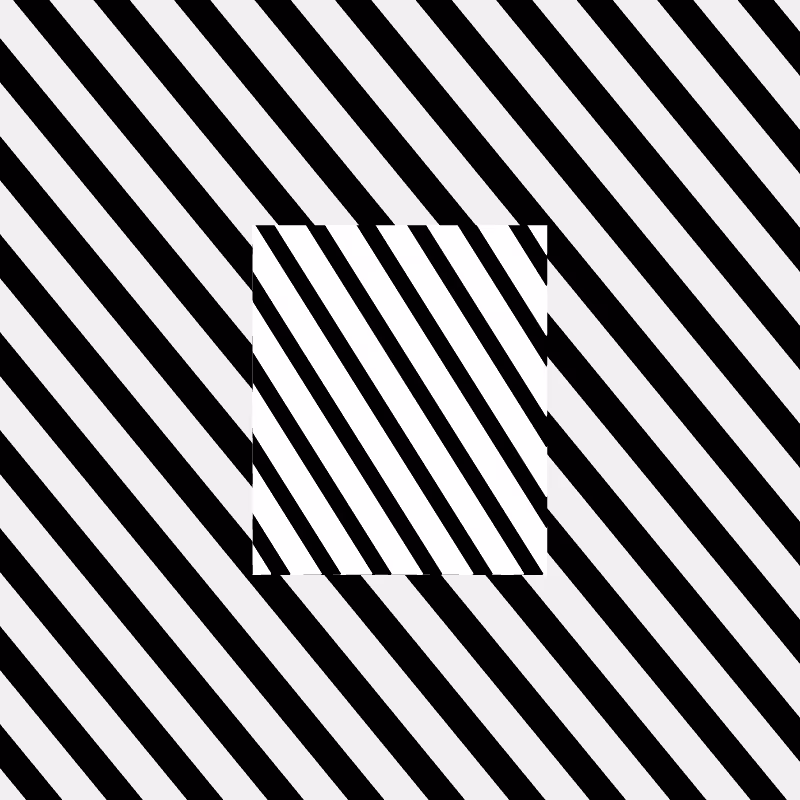 Chromatic dazzle #300