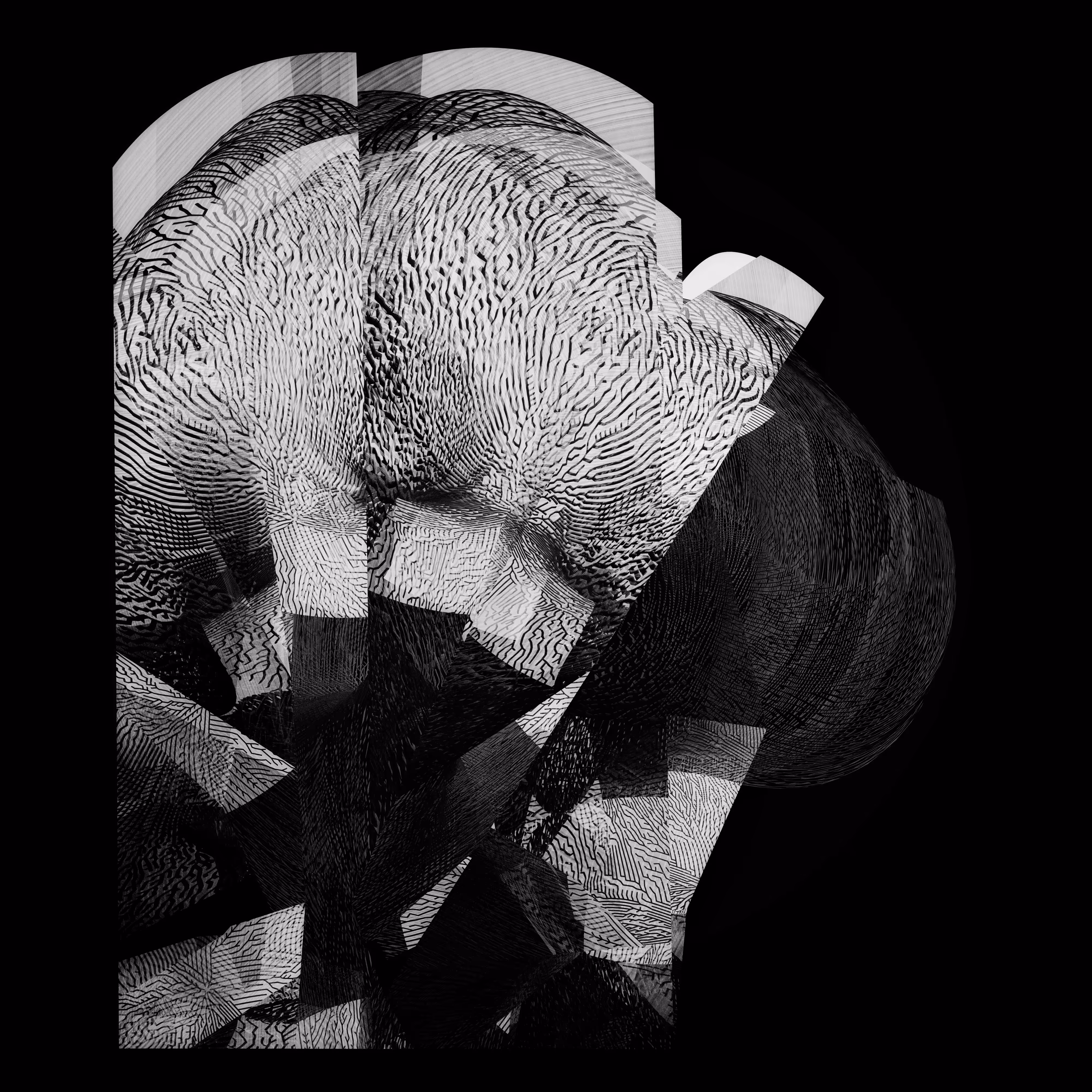 02... florebit