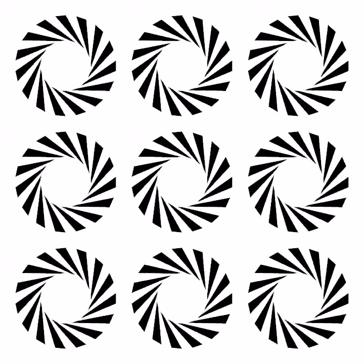 DoodleDeProgramming_202201225