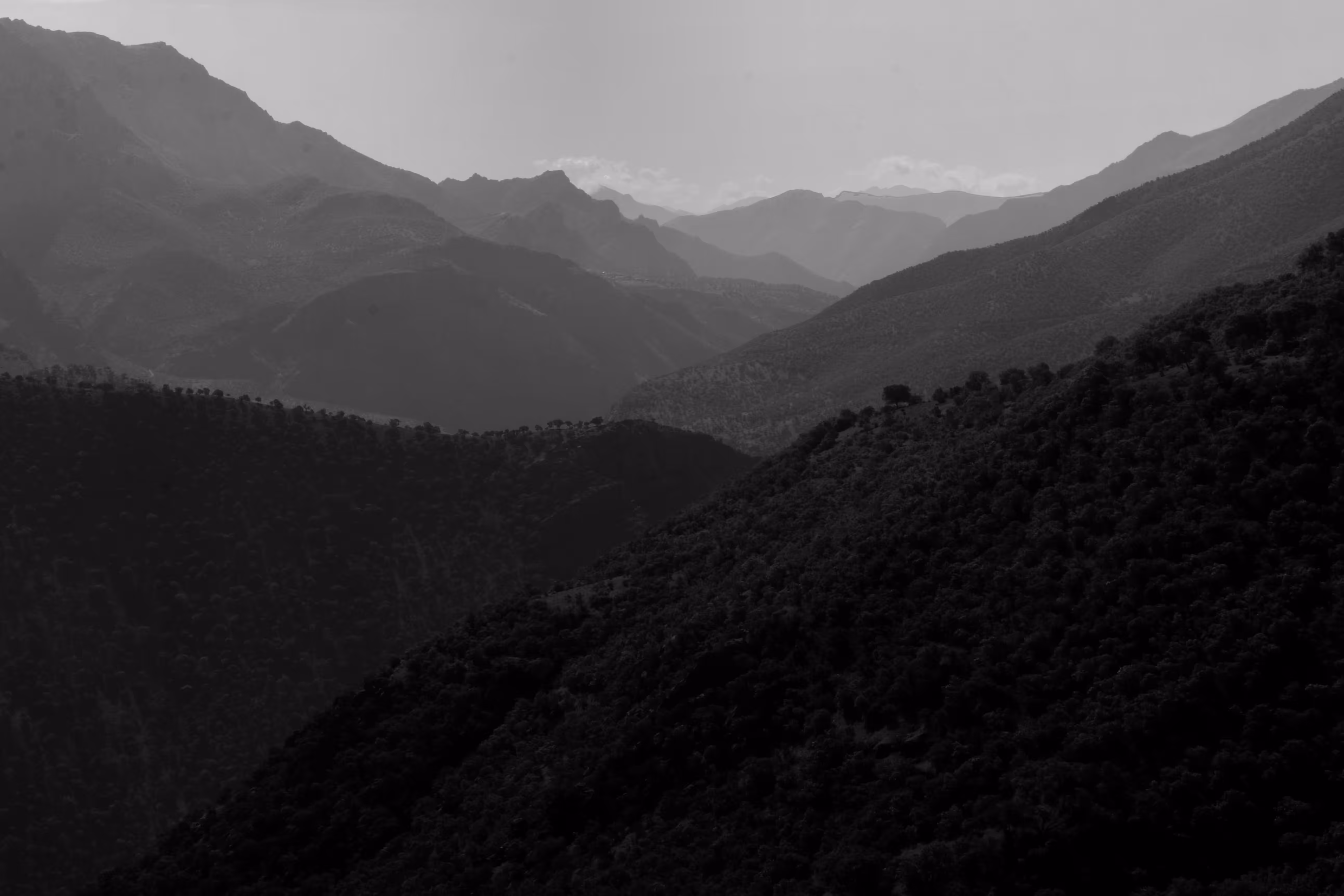 Layers of nature