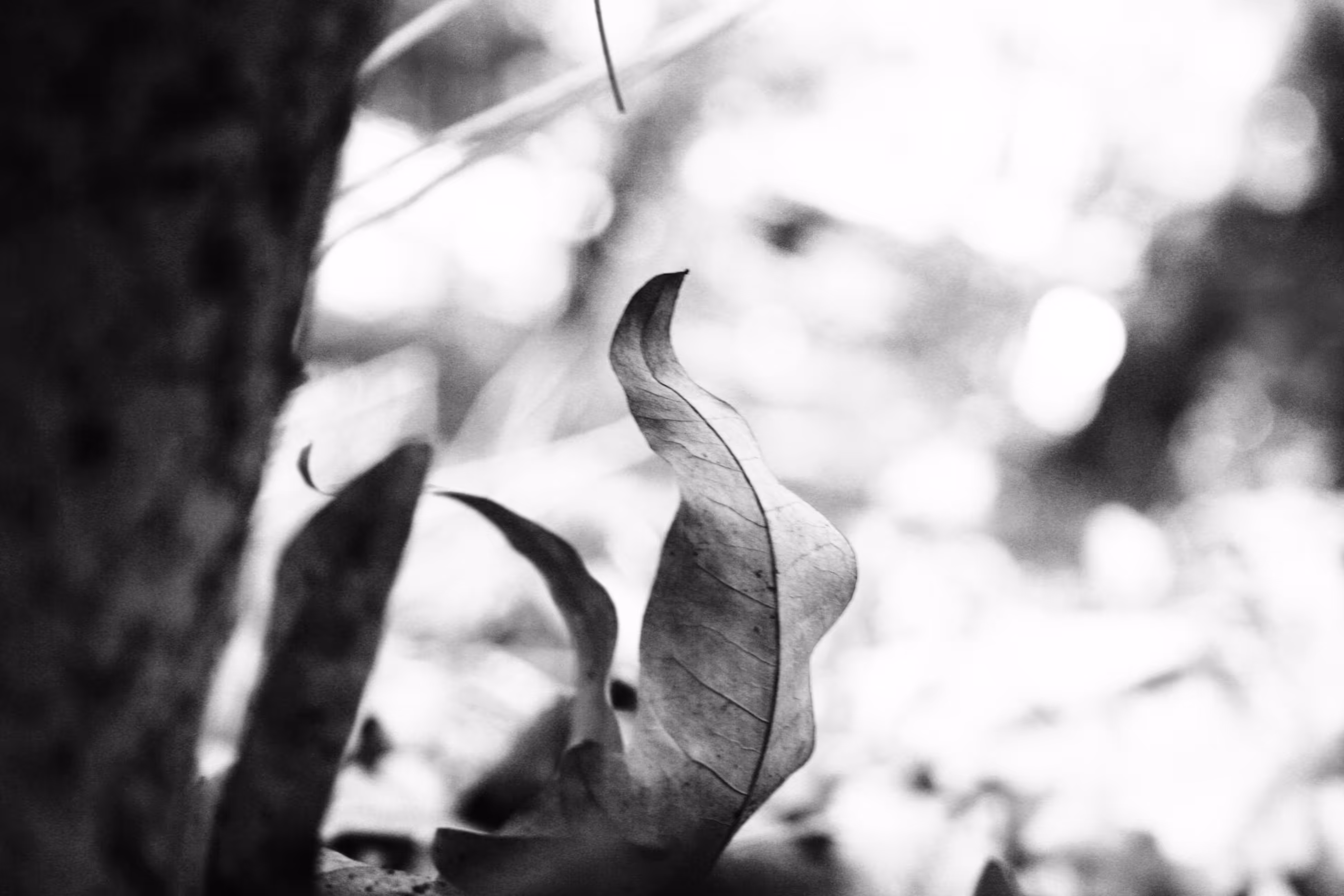 HaNd Of NaTuRe