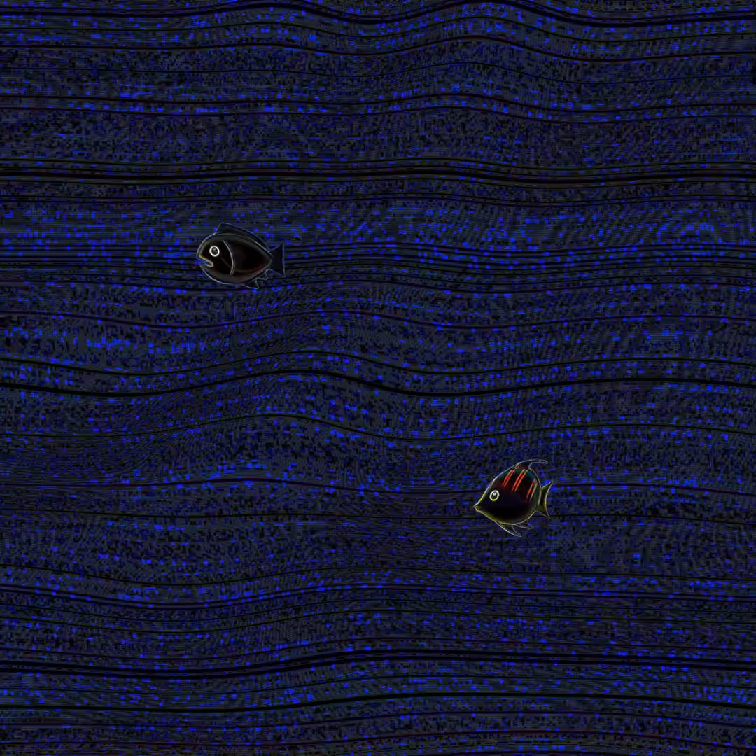 FISHES EYES