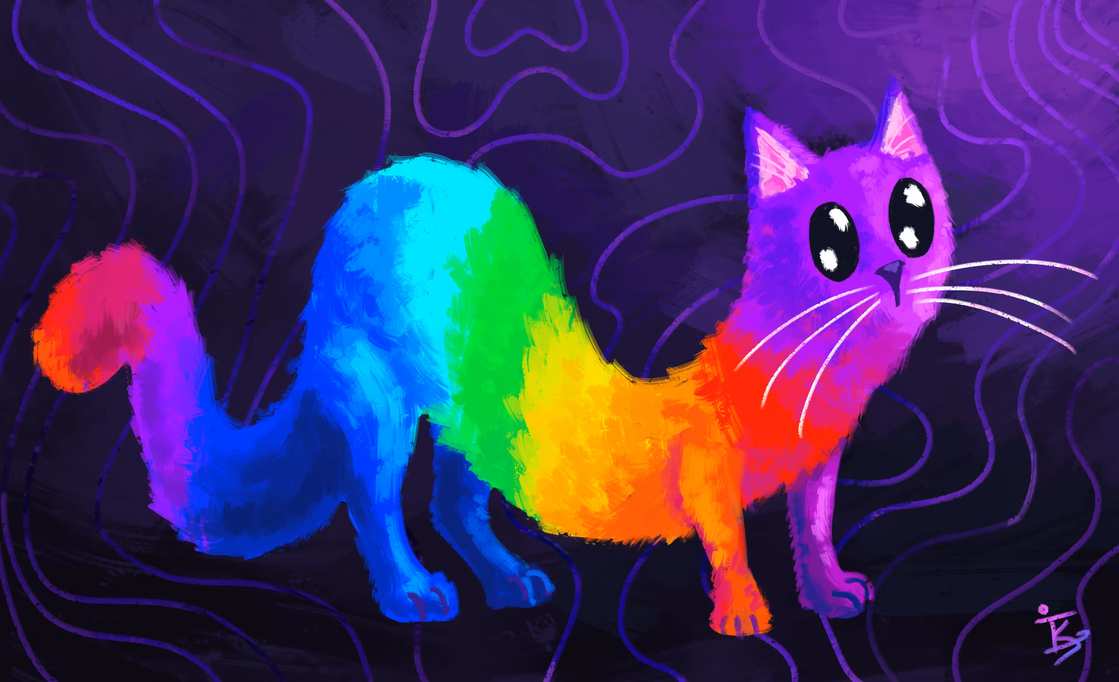 Squiggle Cat