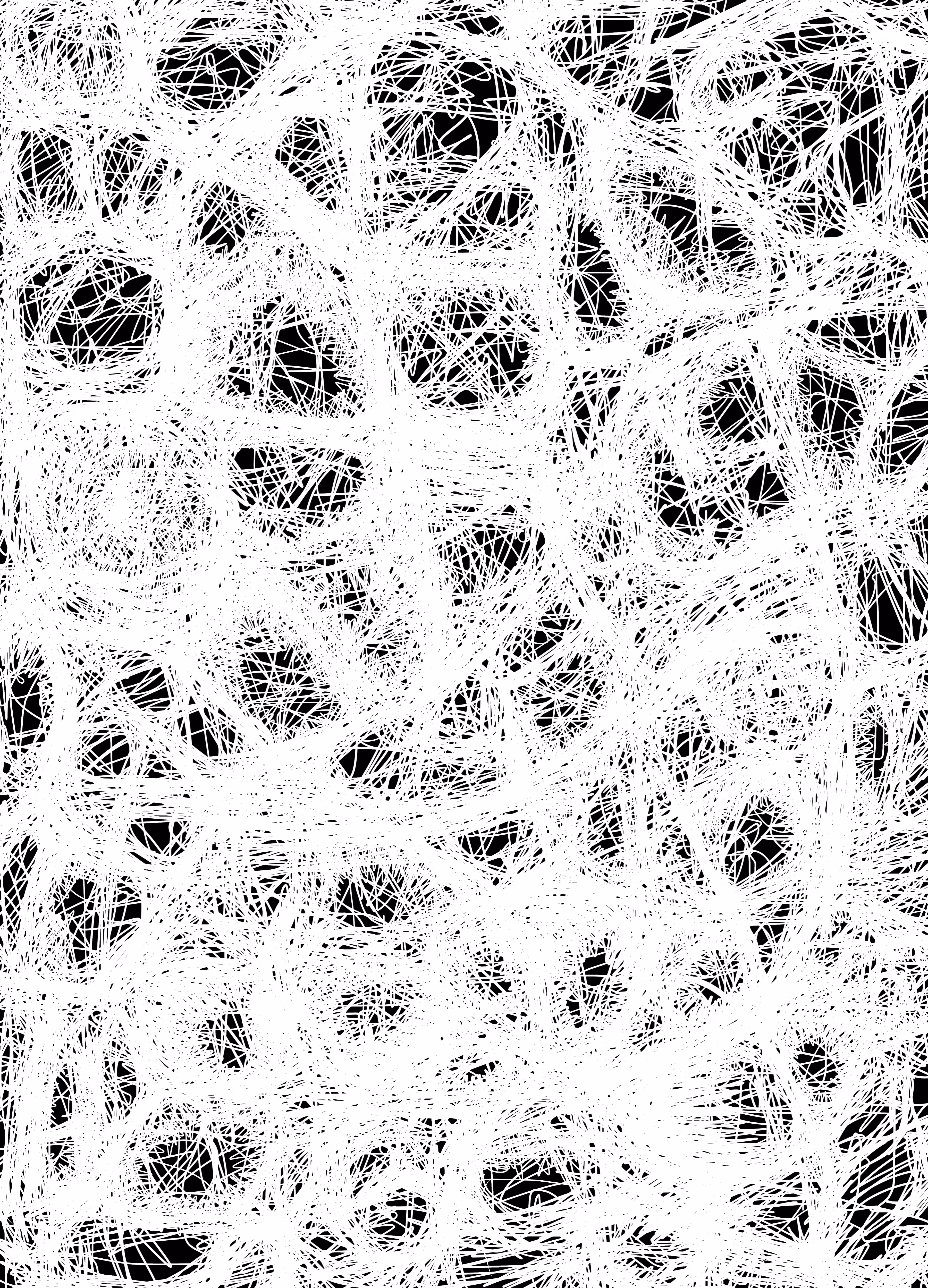 JACOB: Thick Spider Webs