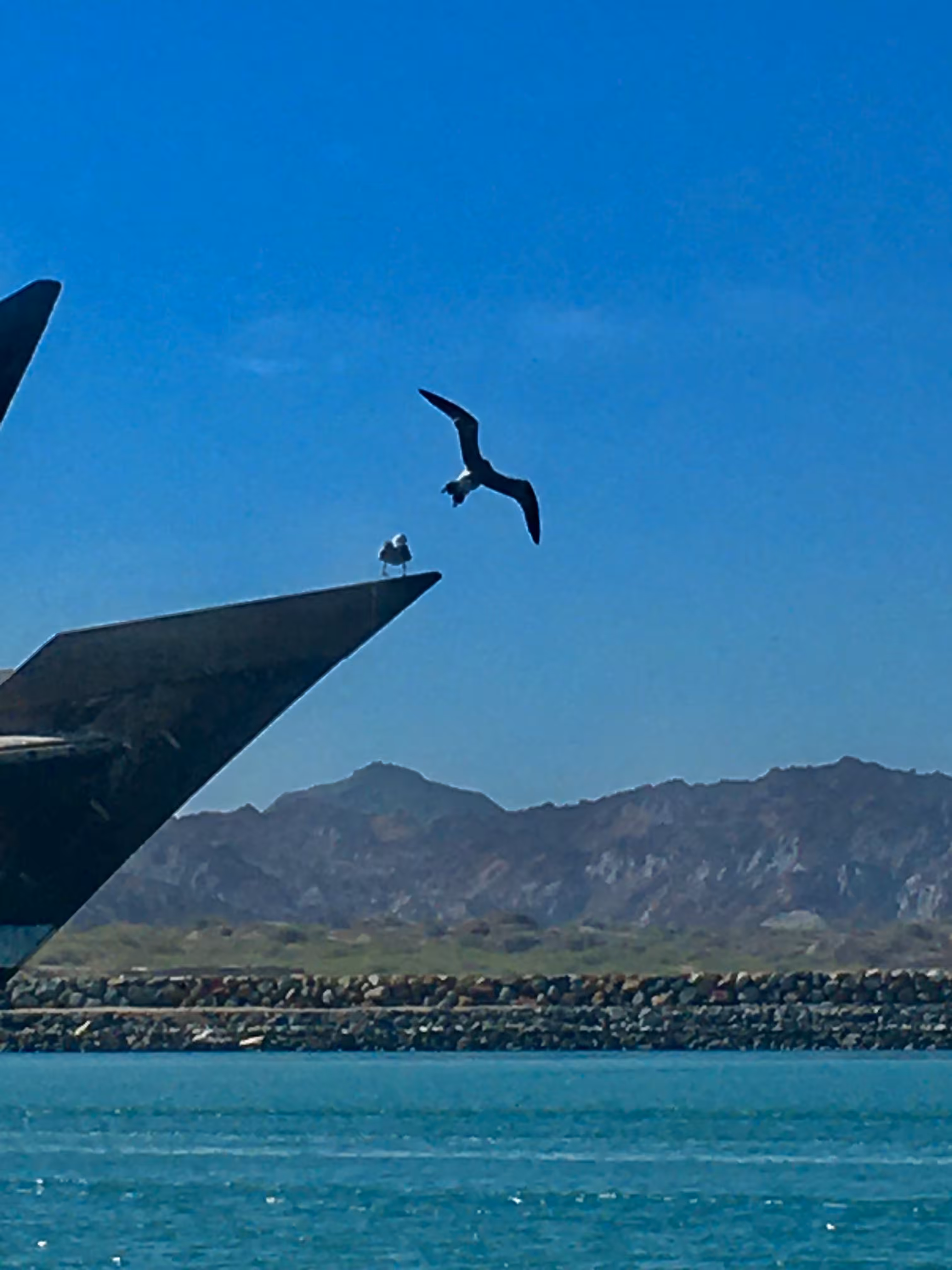 Flying over the ocean