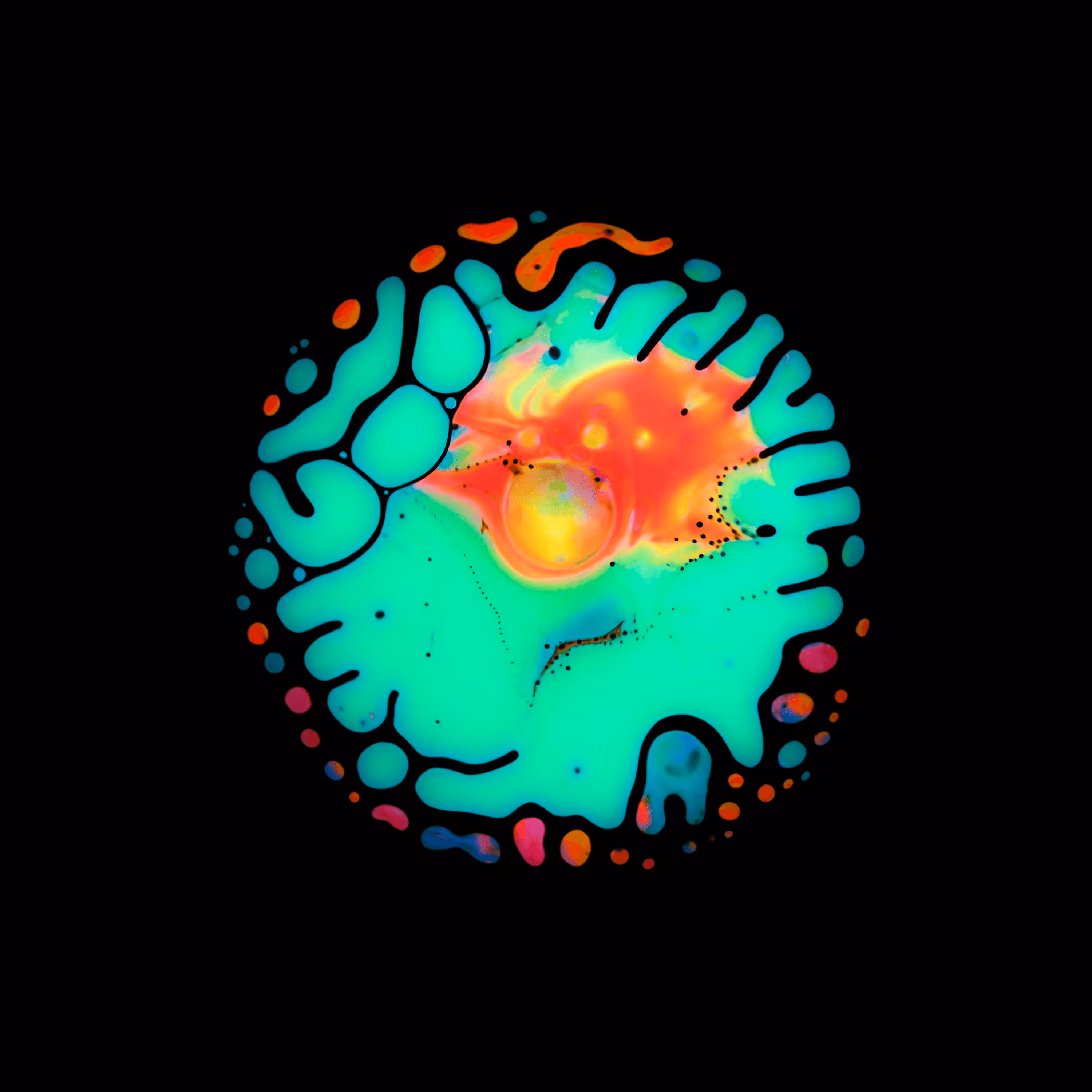 Haematopoiesis #258