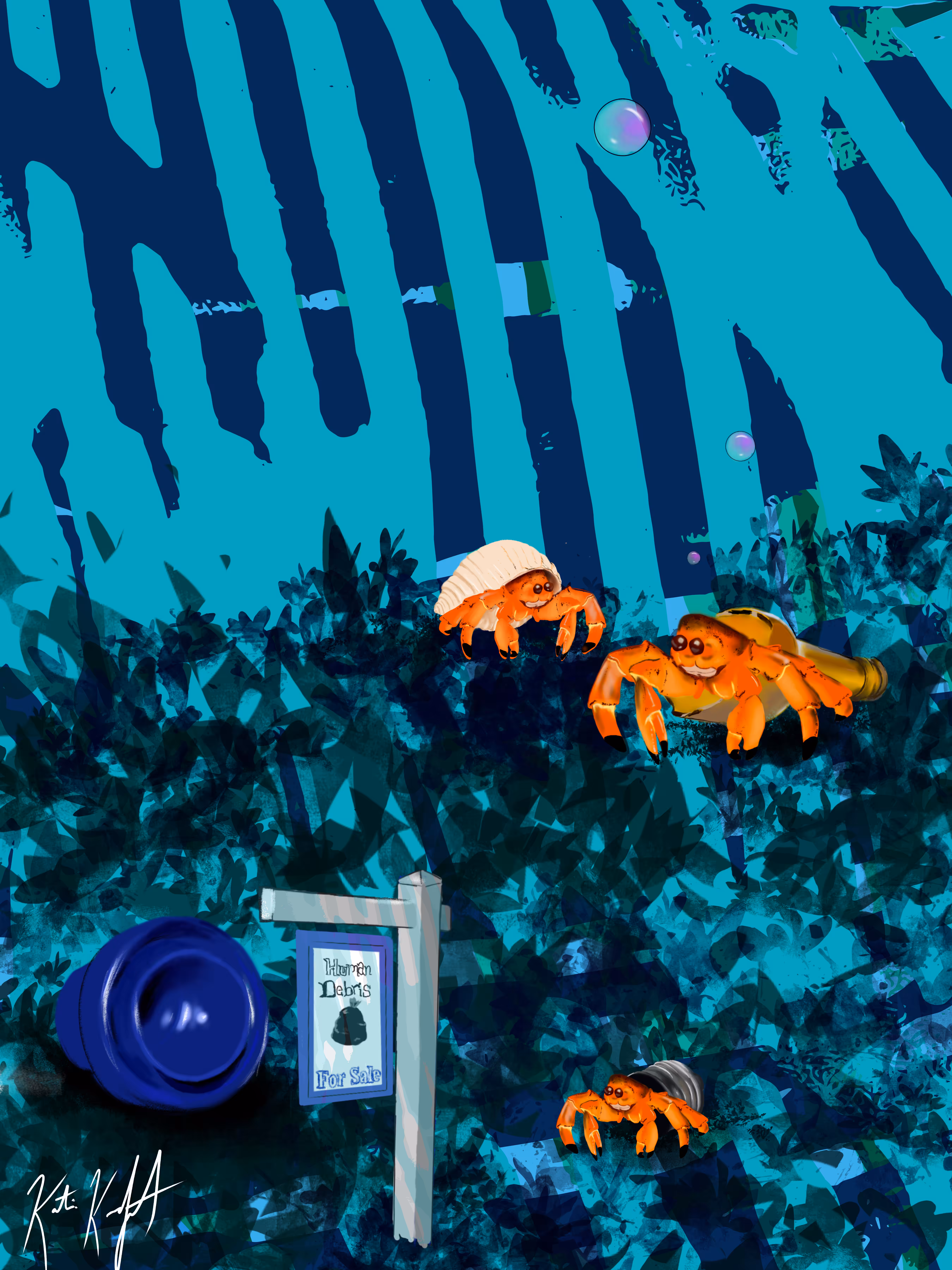 Hermit Housing Crisis- Human Debris