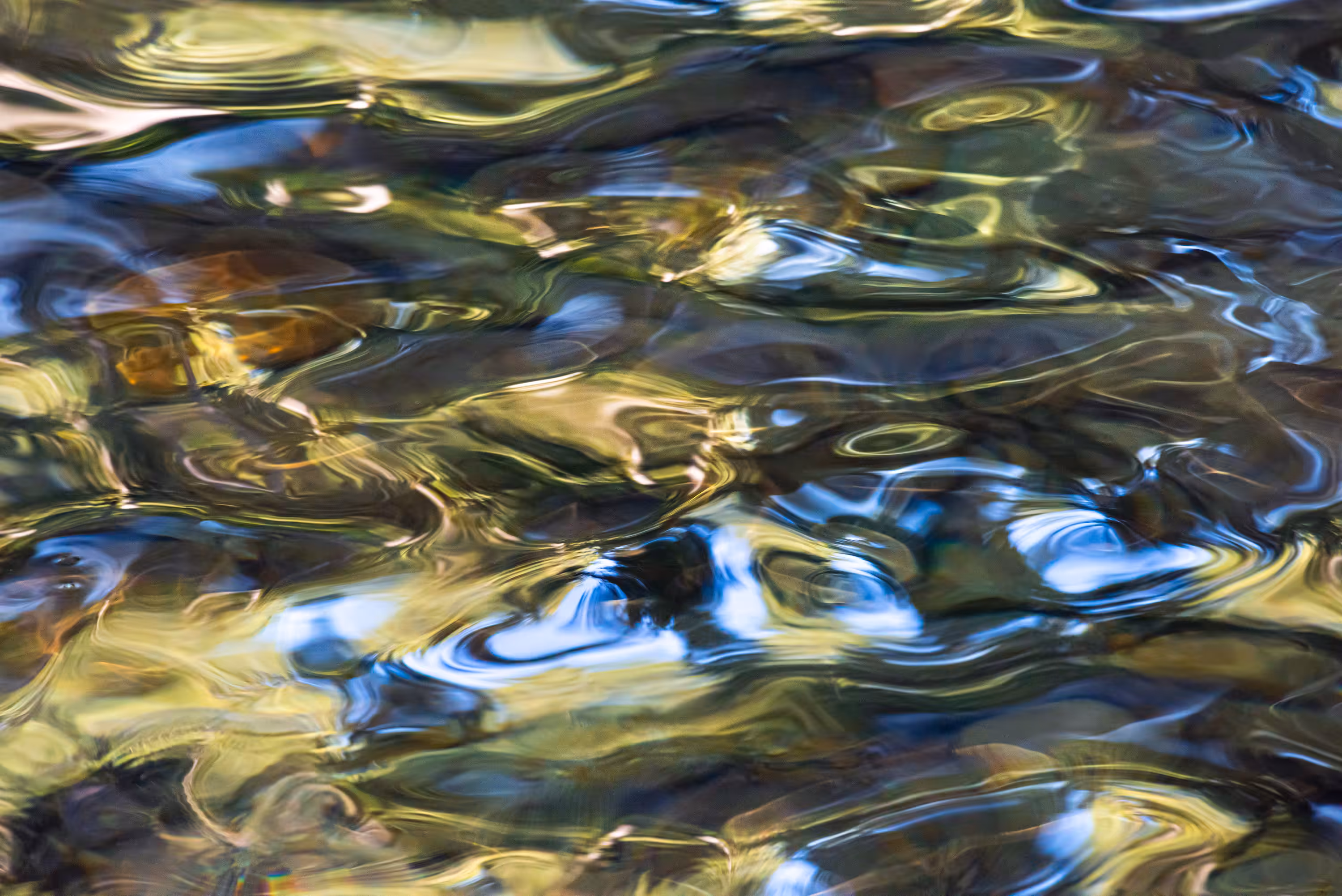 Ebb and Flow #47