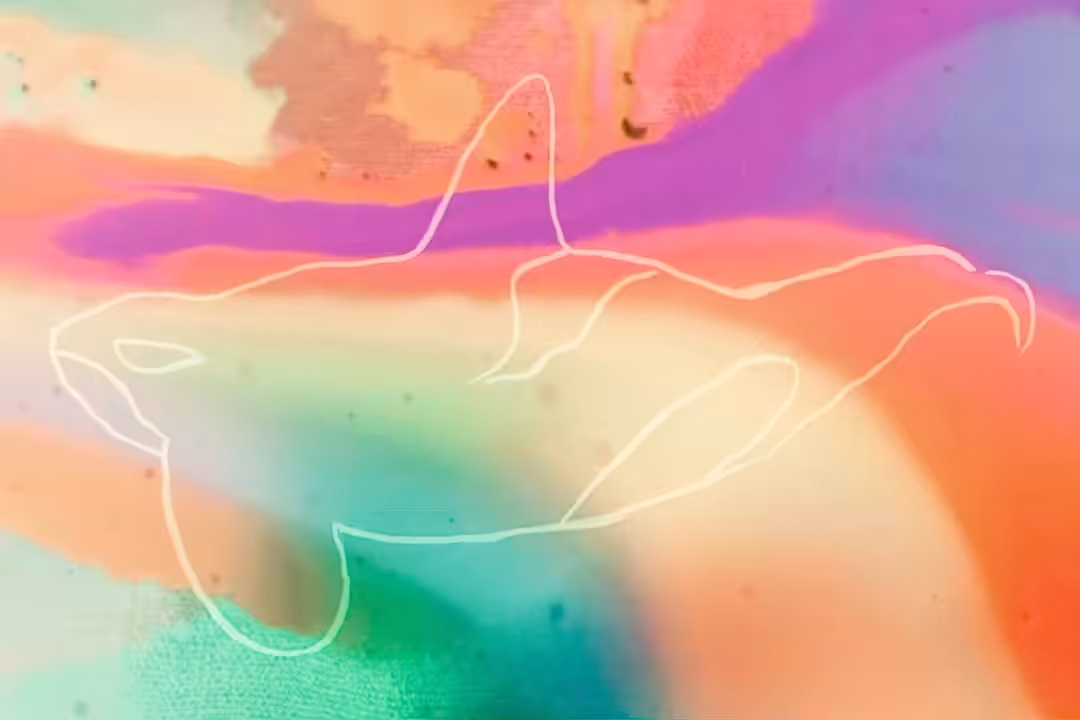 Orca's Psychedelic Journey