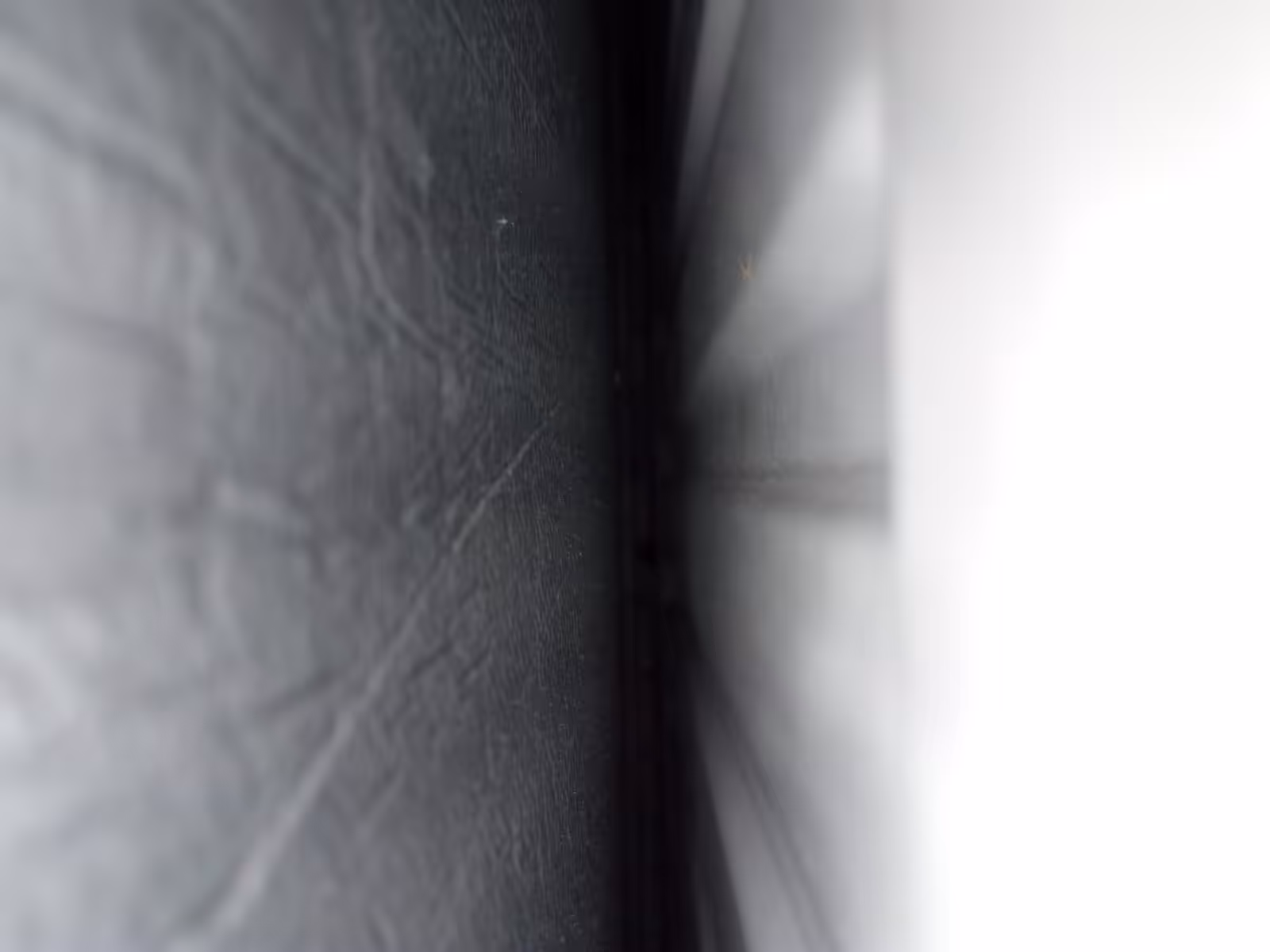 The Void