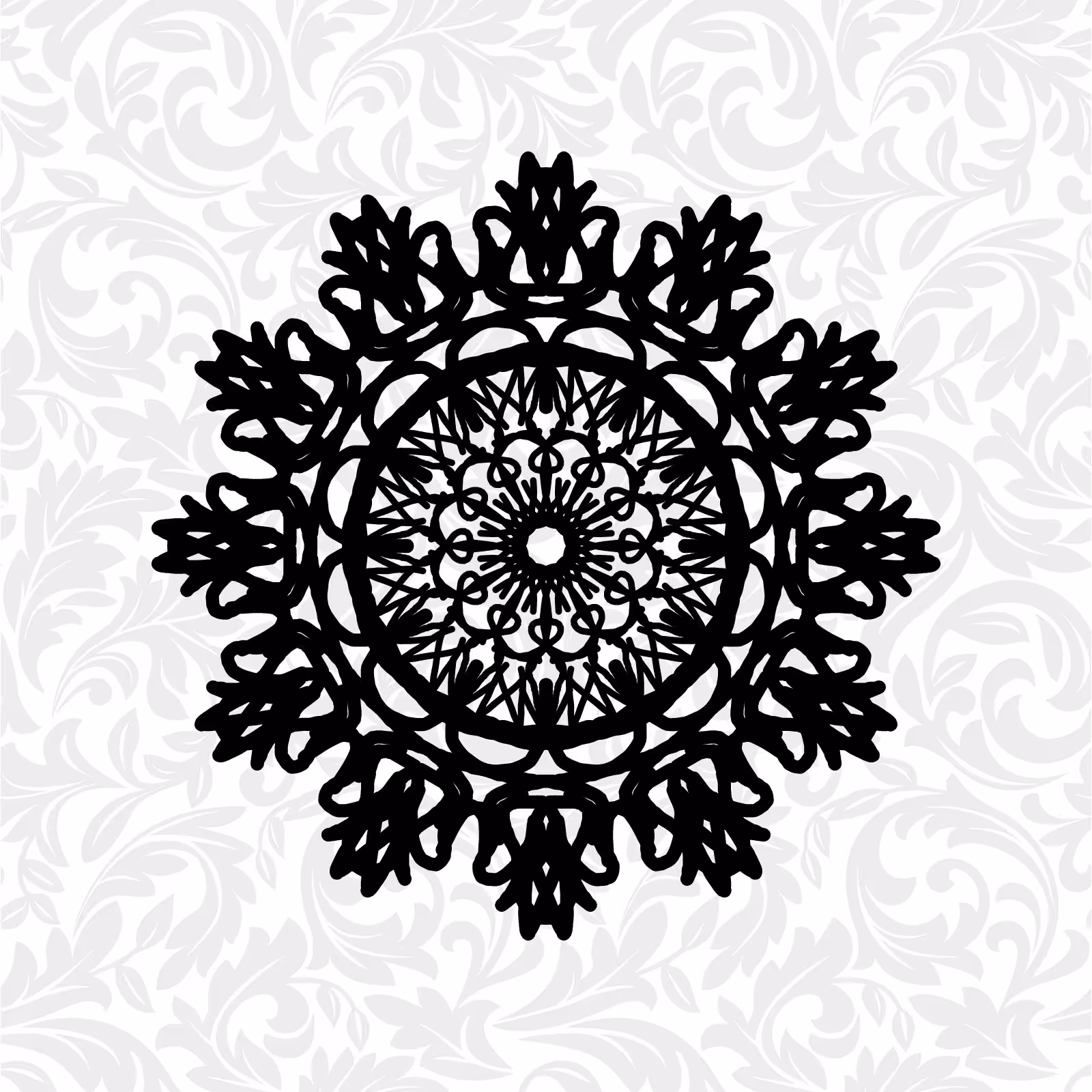 White1/1