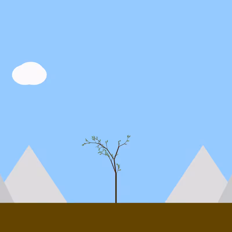 From seedling to tree #41