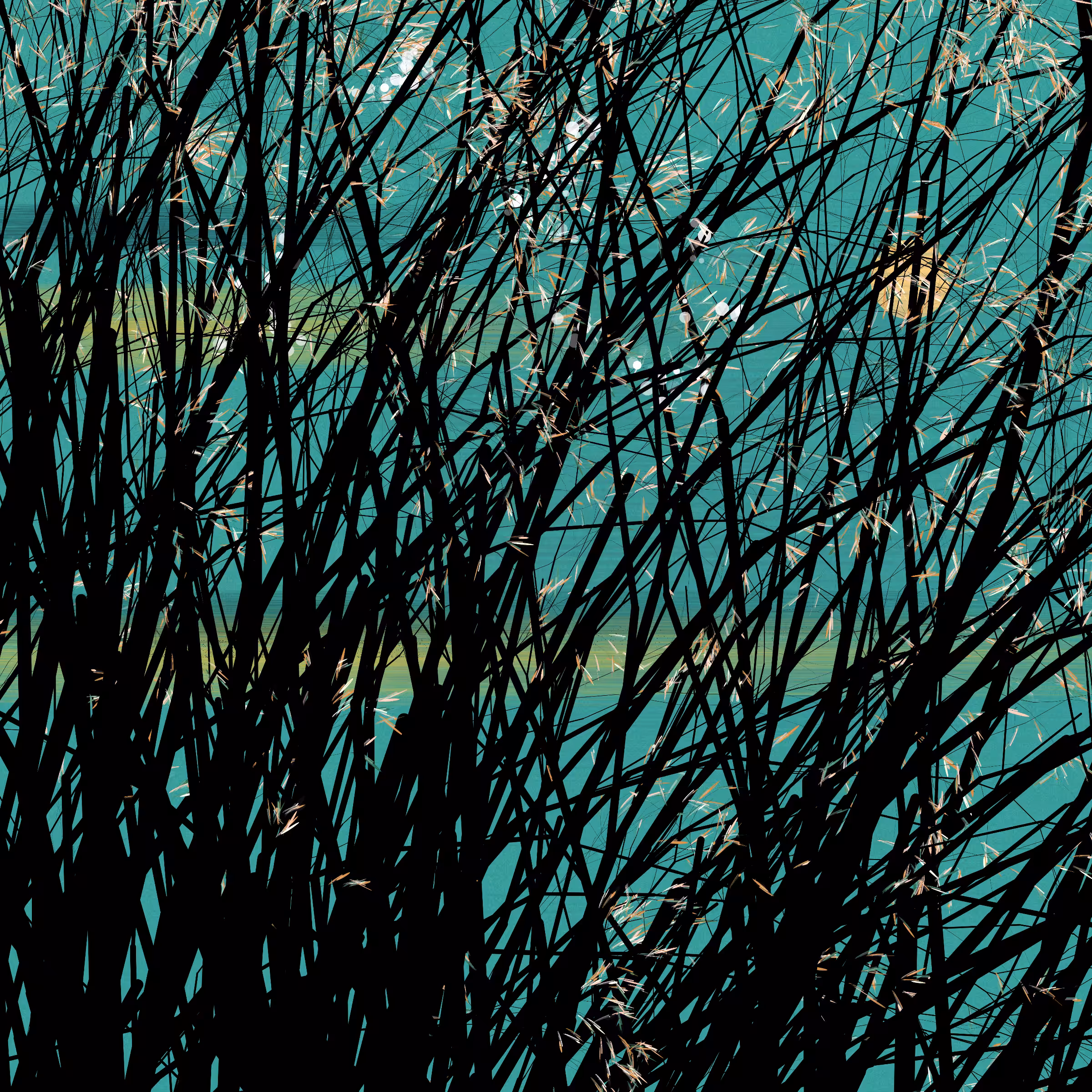 conversation with the wind #401