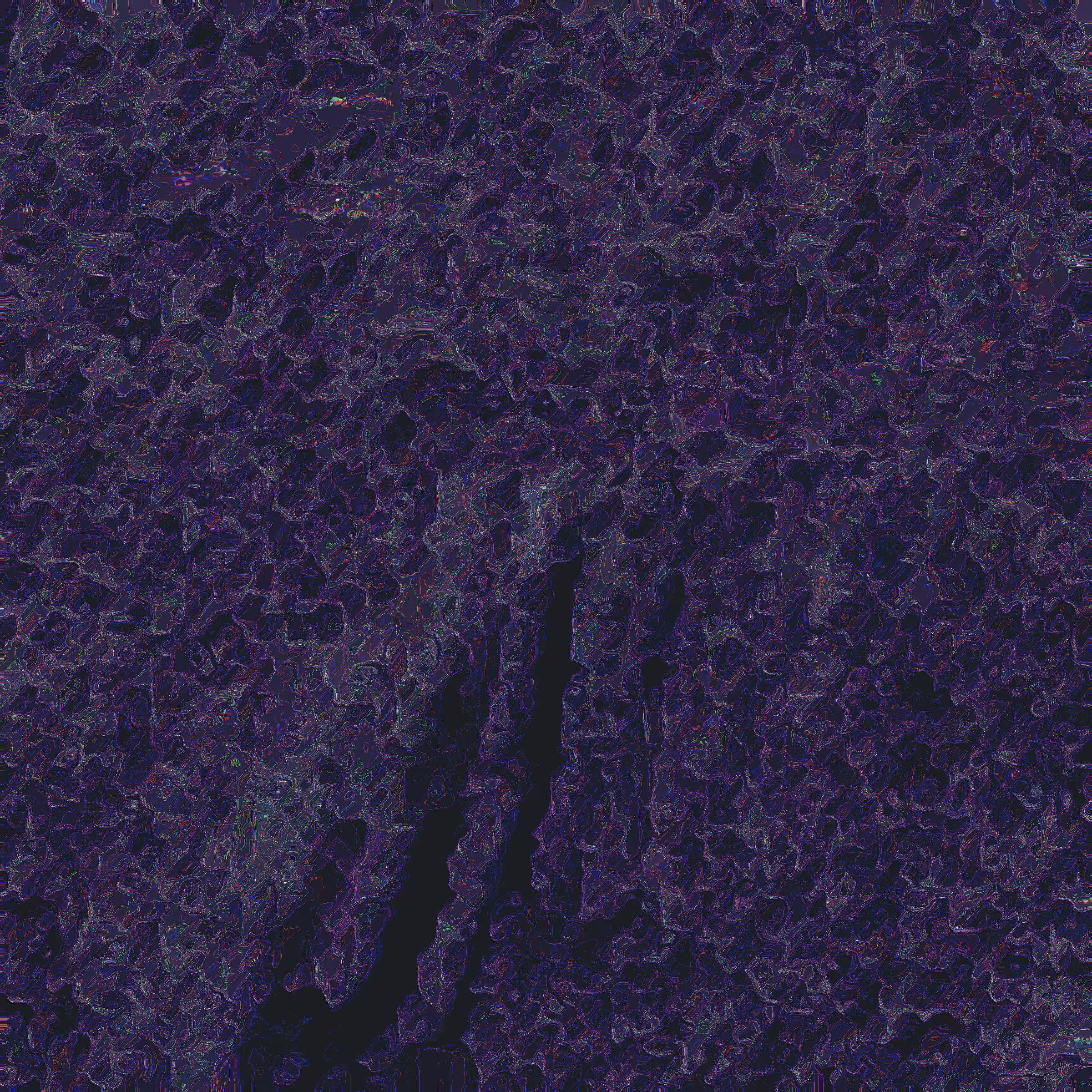 IN NOISE WE TRUST: INWT 43