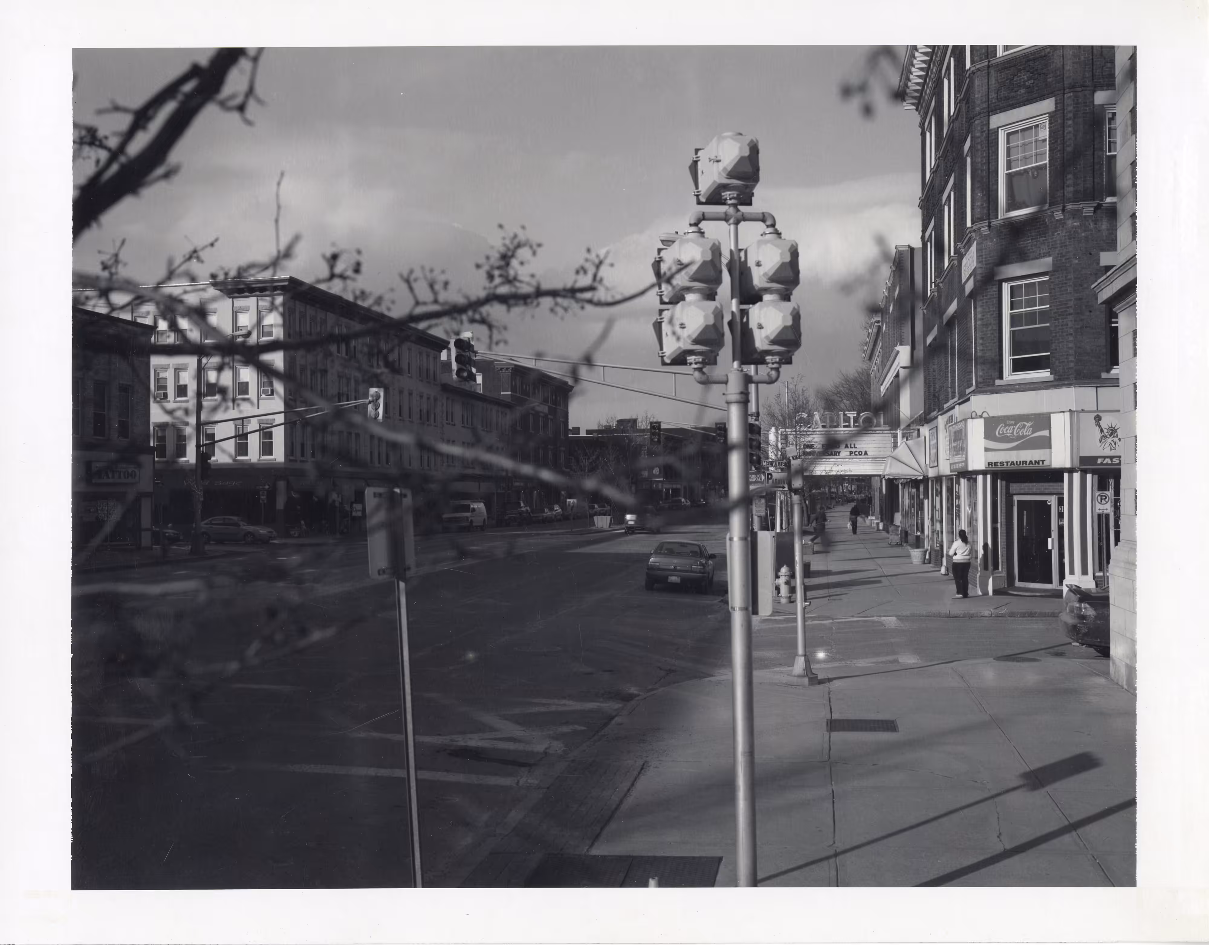 Beneath the Roses, 2003-2008 [Brief Encounter Bundle] 8 x 10 Black and White Polaroid Study