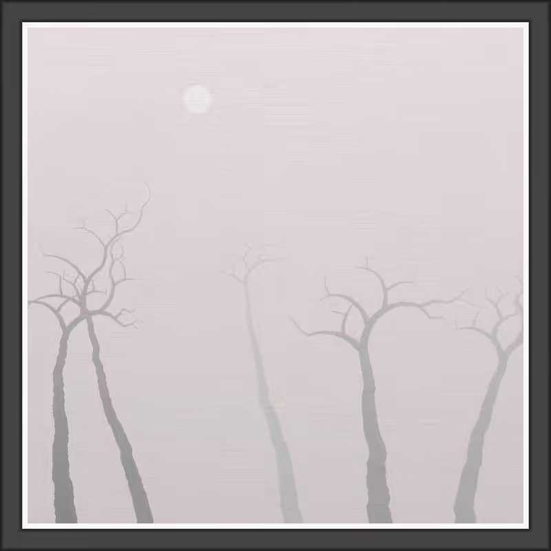 The Foggy Trees #85