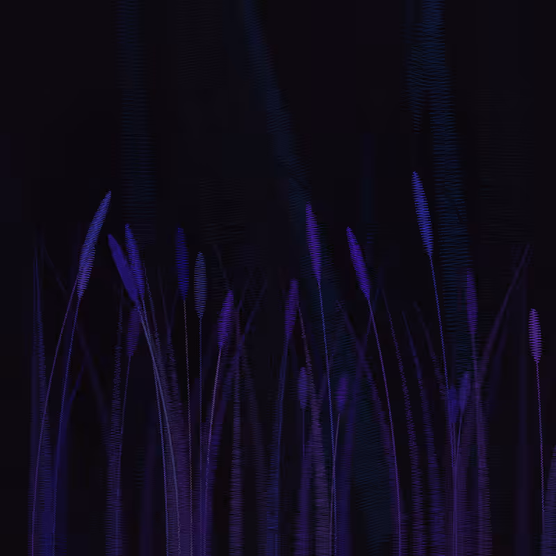ZigZag Garden #71