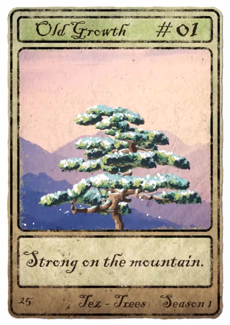 Tez-Tree #01 - Old Growth - Season 1 