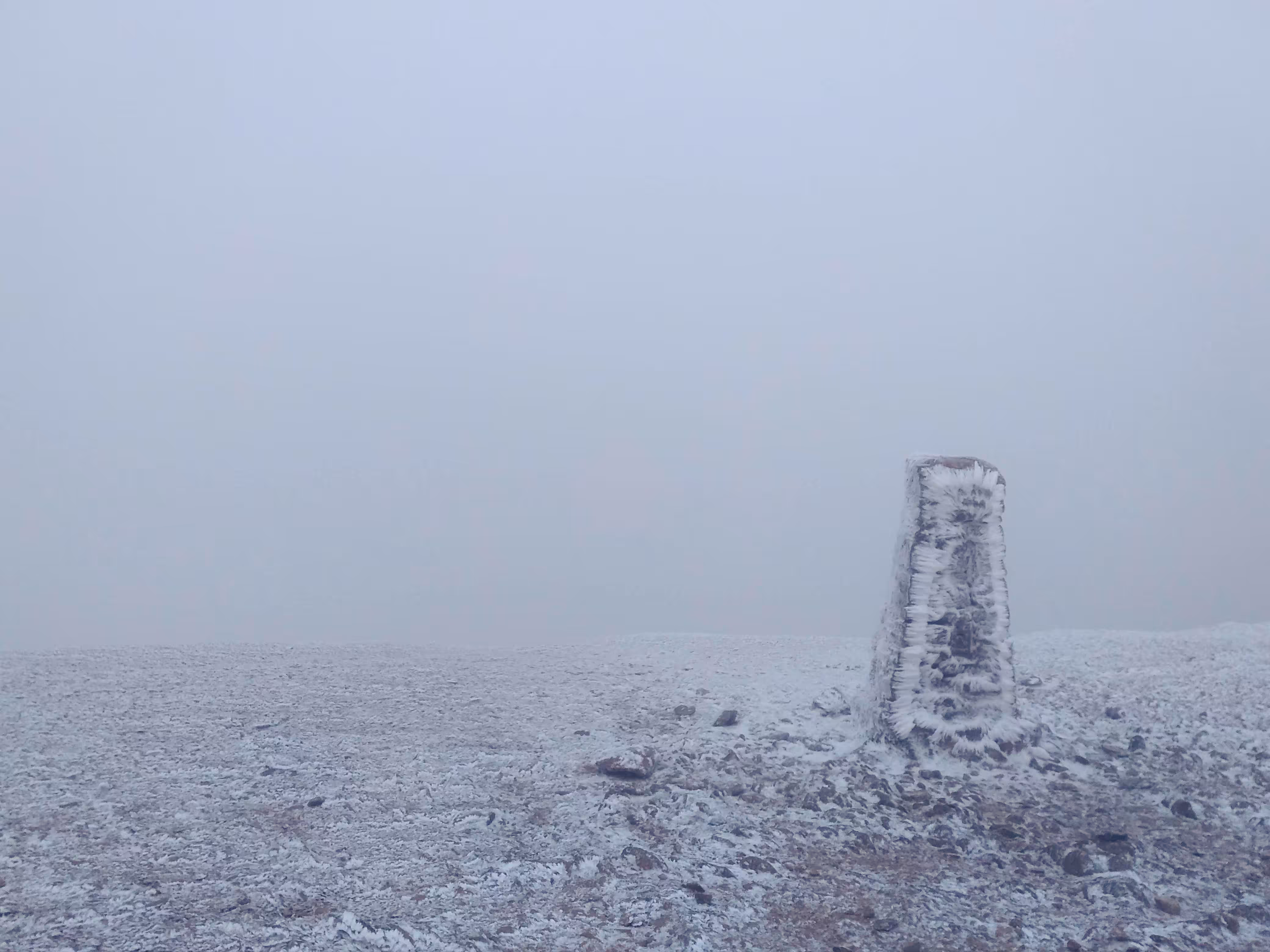Winter 