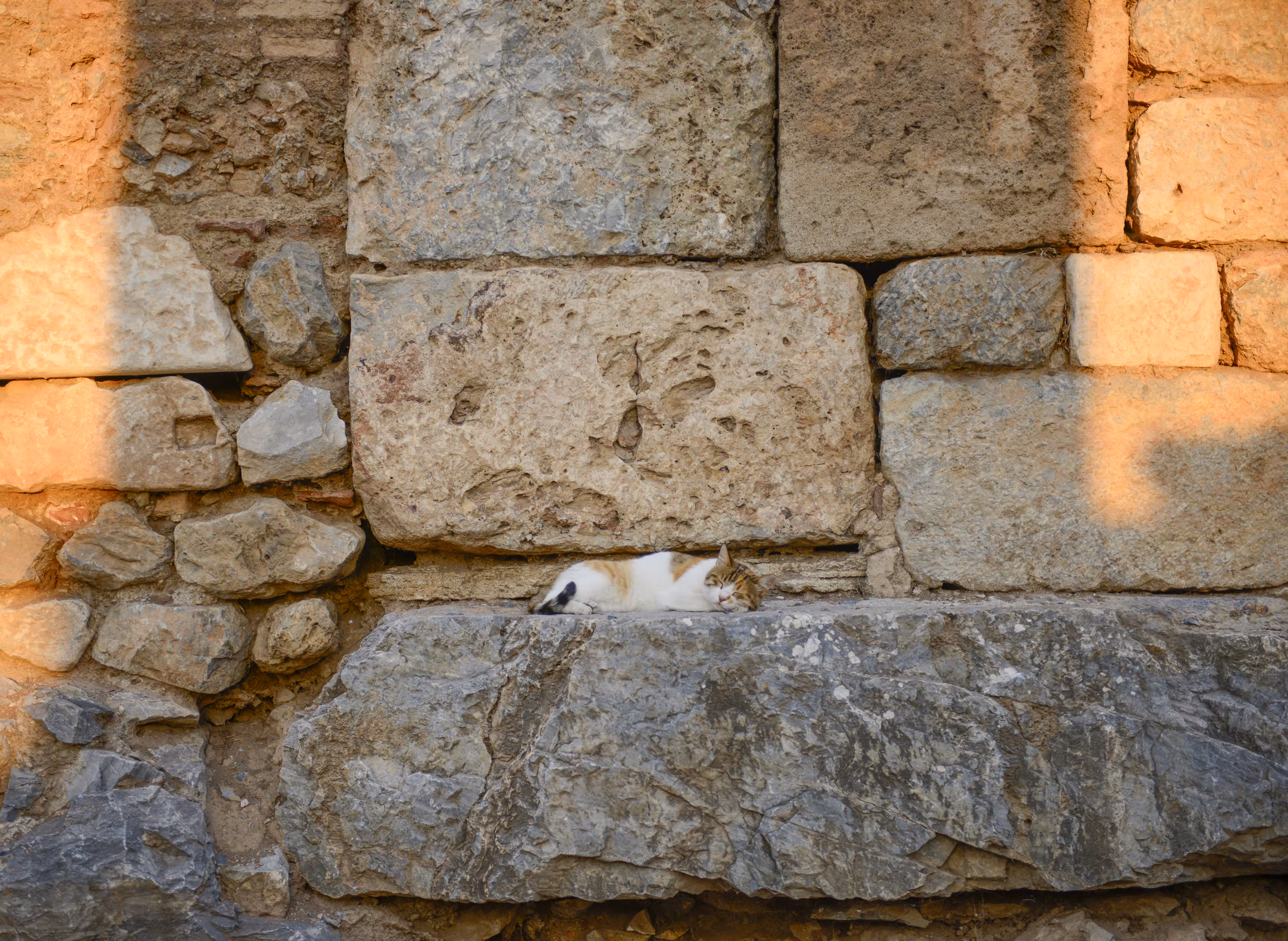 A Peaceful Afternoon