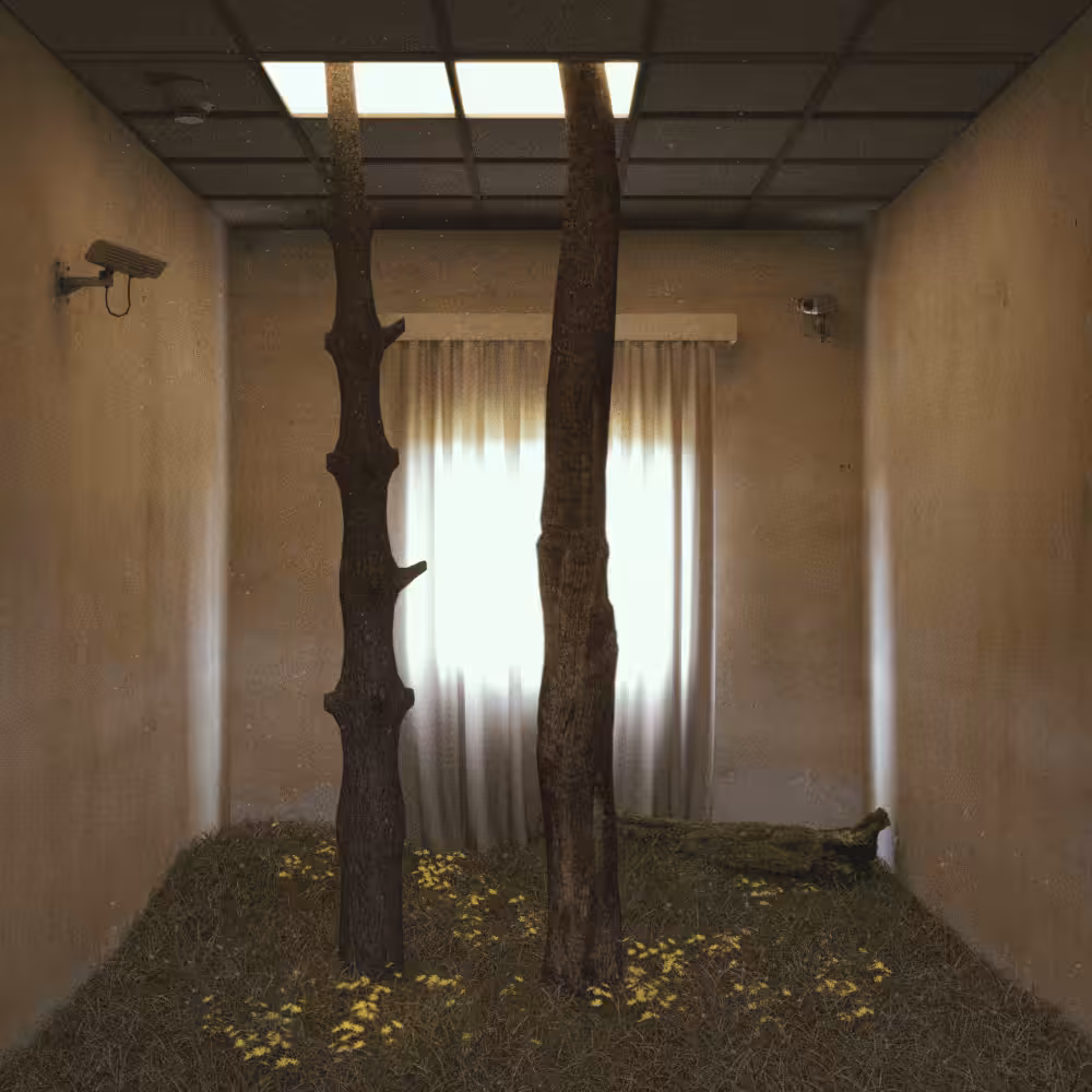 Everlasting forest #50