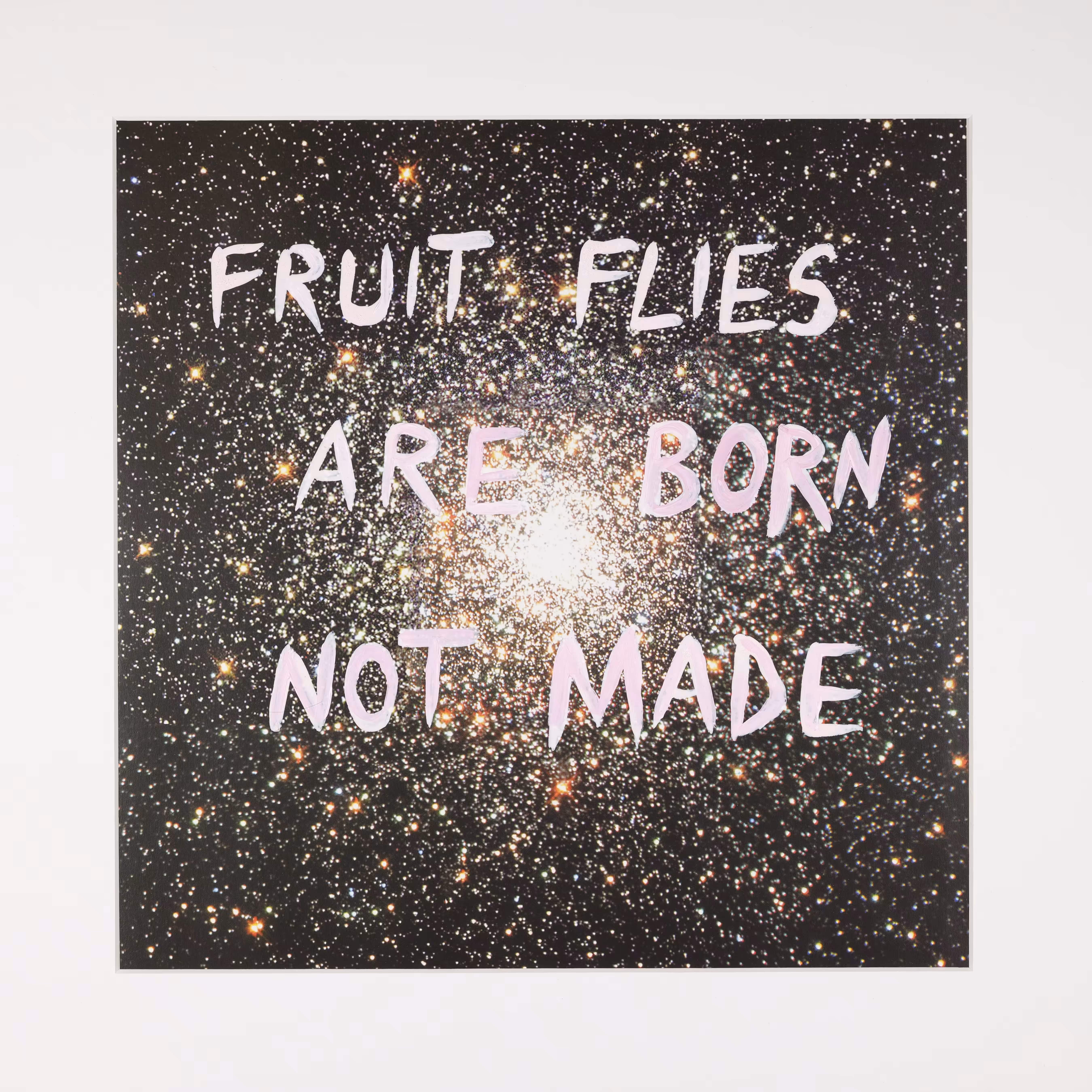 Infinity Today: Fruit Flies Are Born Not Made/ Let’s apply Great Man theory to insects whose role it is to decompose organic matter