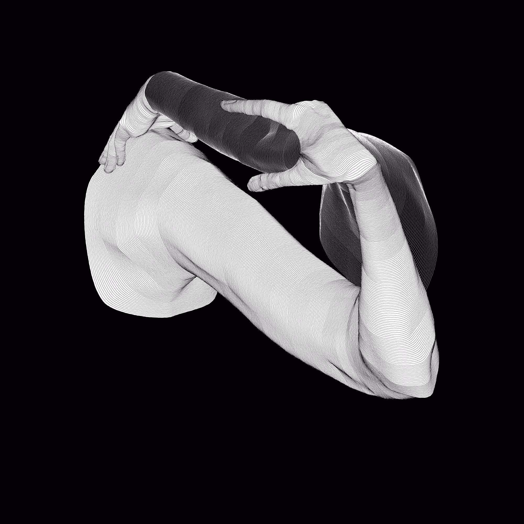 AnAtomy Base 04