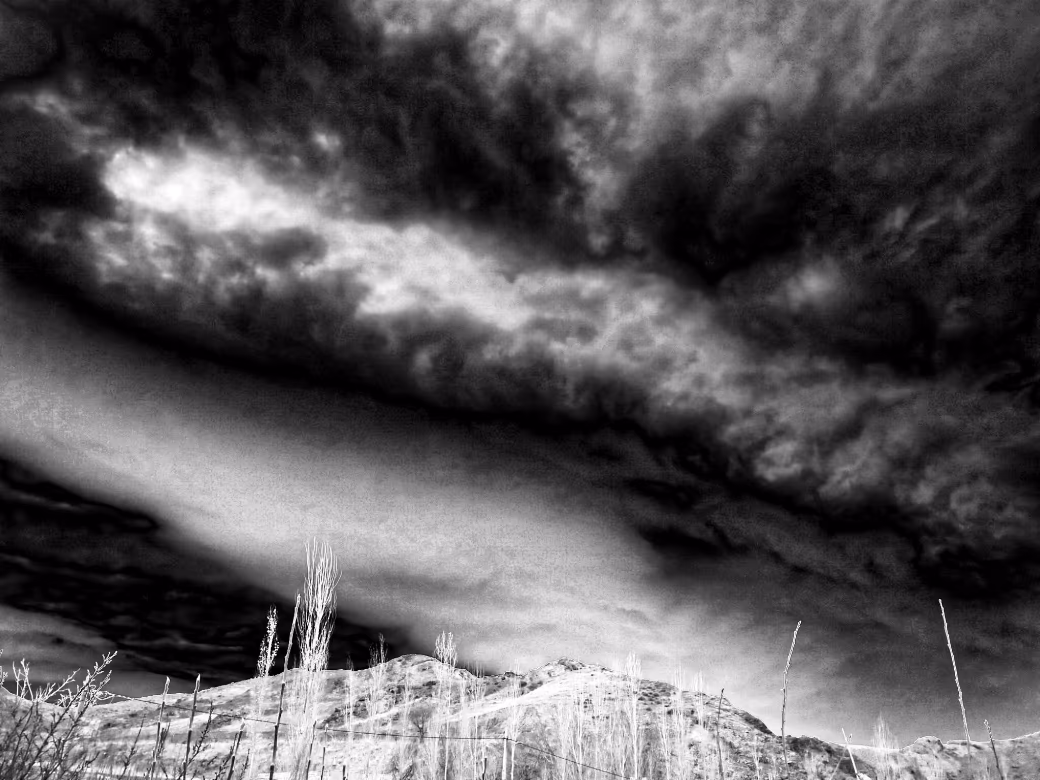 New Year's Sky