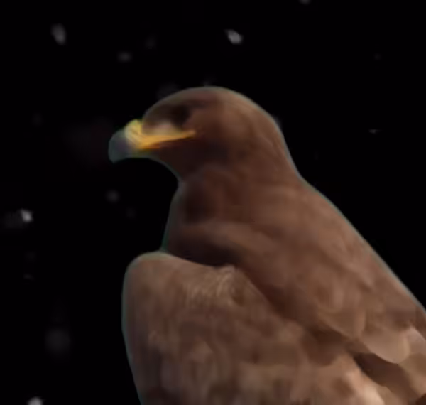 Animated Animals #08