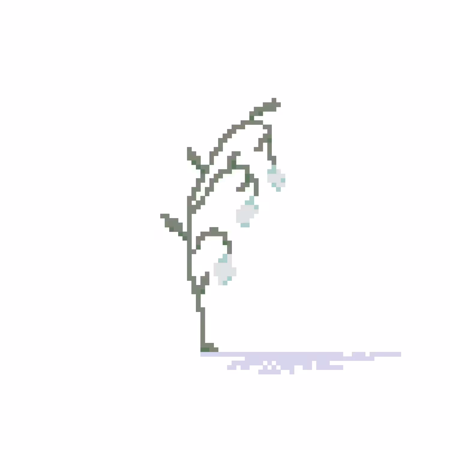 Lily of the Valley