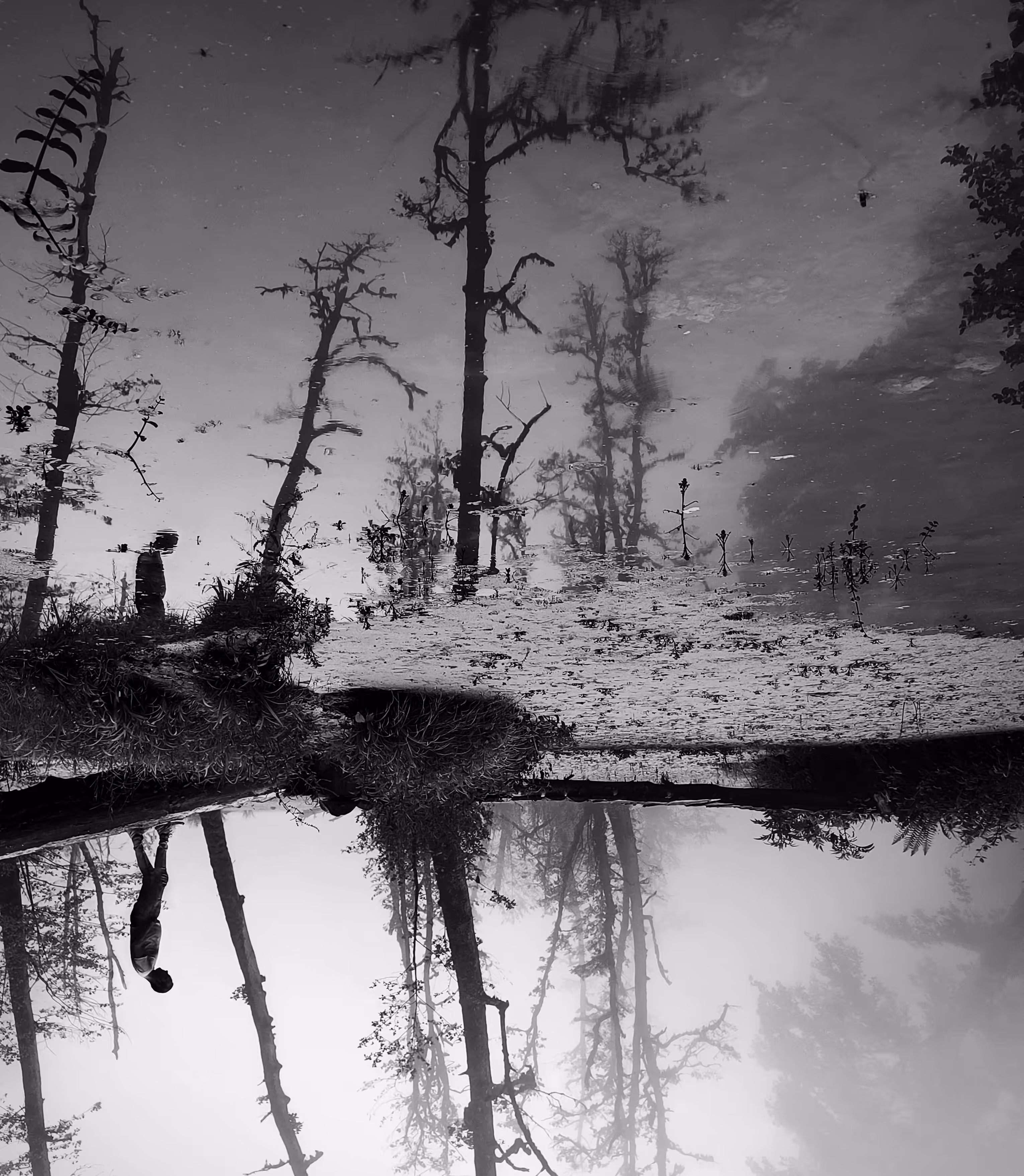 Untitled (Reflection)